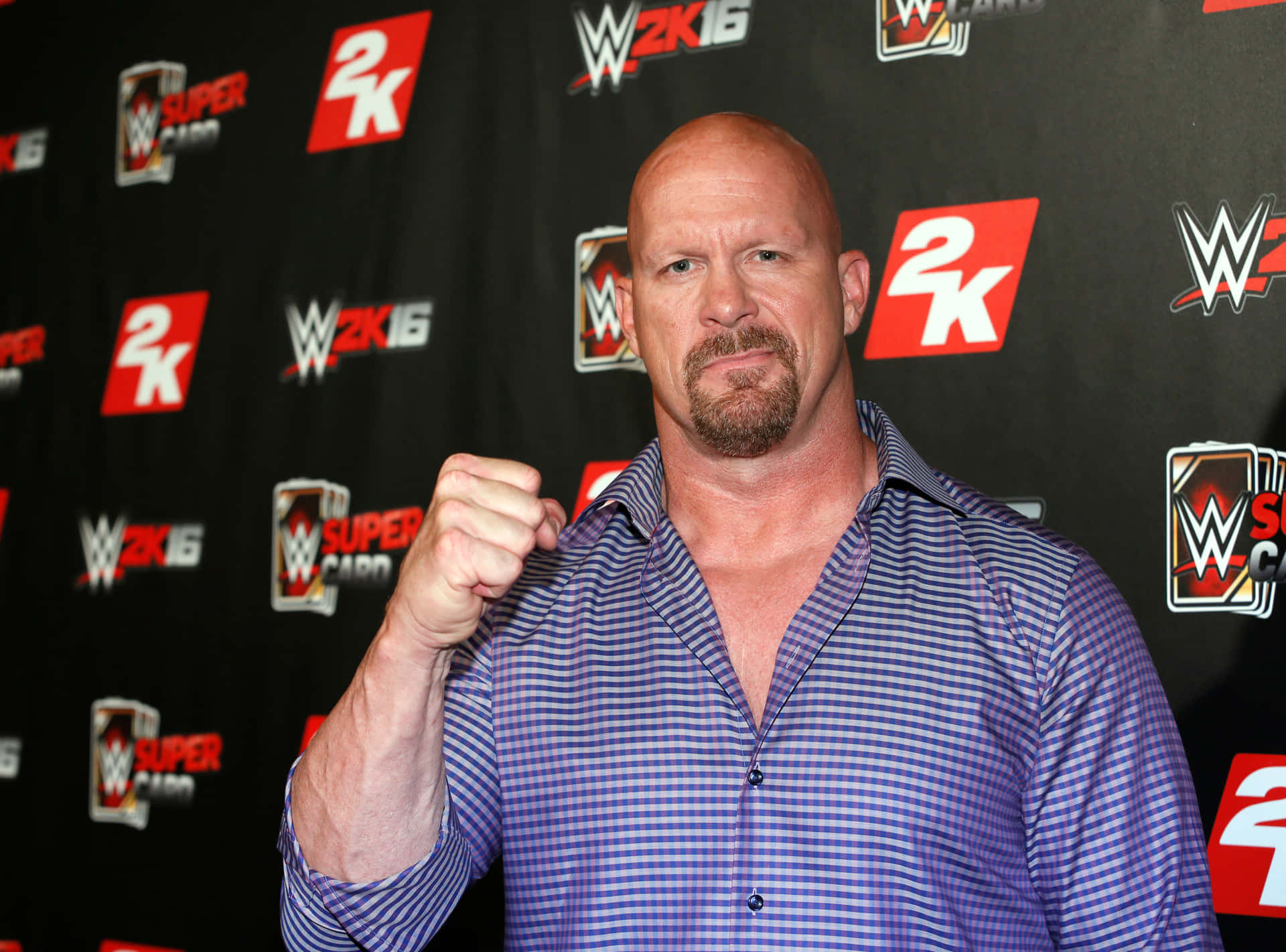 摔角手在WWE 2K16活動中舉拳擺姿勢。