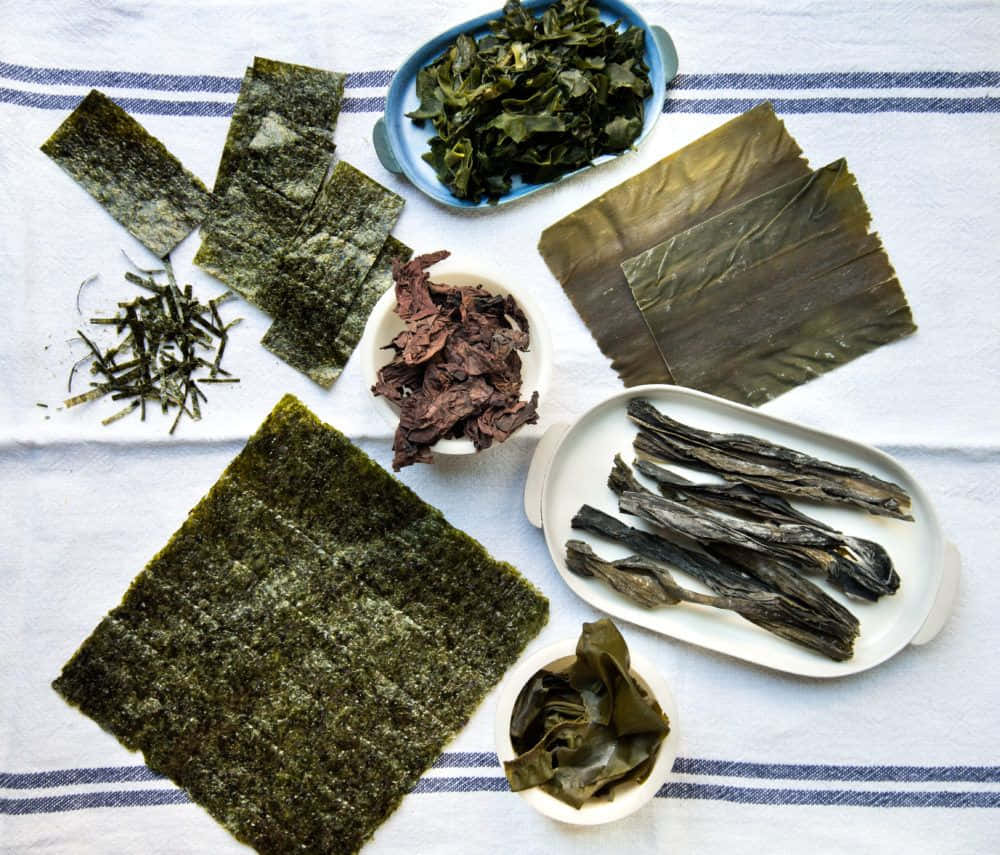 Seaweed 桌布 壁紙 — 各種乾海藻排列在條紋布上的碗和碟中。
