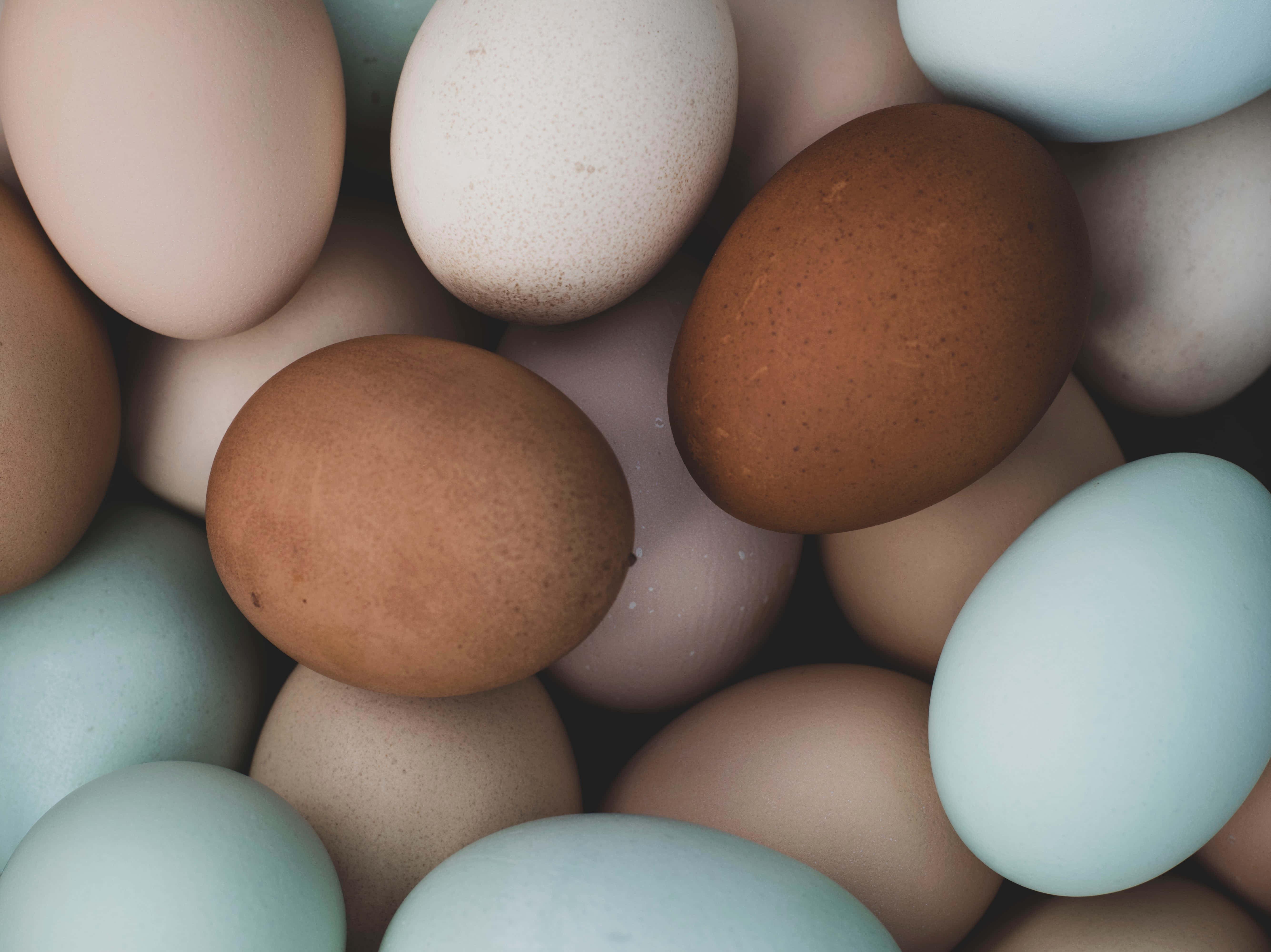 Brown Eggs 桌布 壁紙 — 各種柔和粉彩及大地色調的雞蛋緊密排列的特寫。