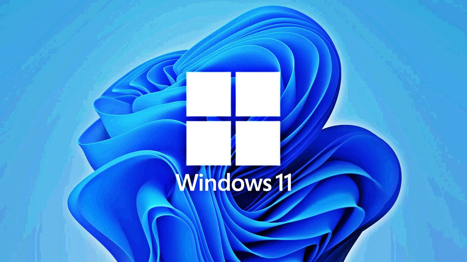 藍色抽象背景上的 Windows 11 標誌