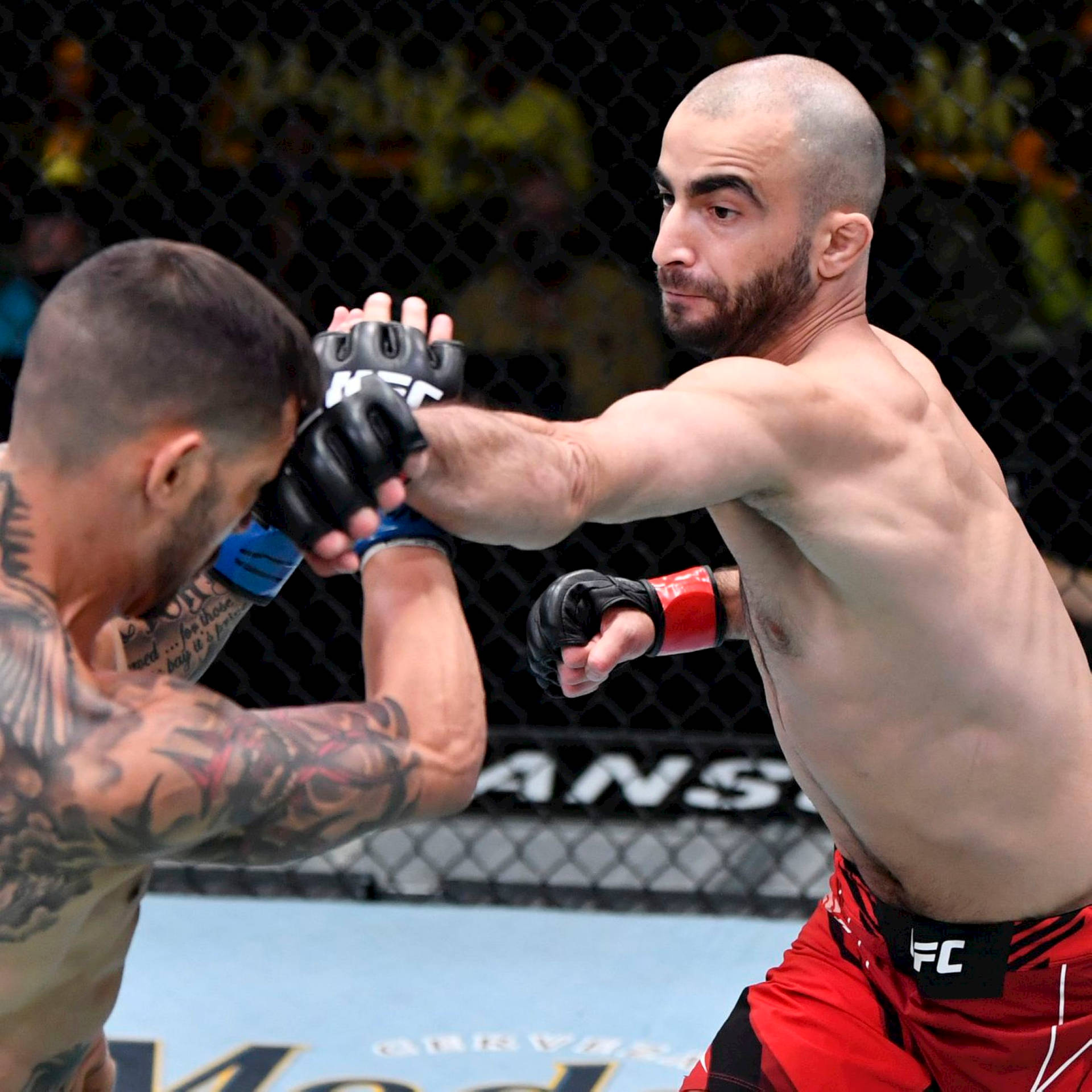 兩名戴著MMA手套的男性拳手在八角籠內互相出拳。