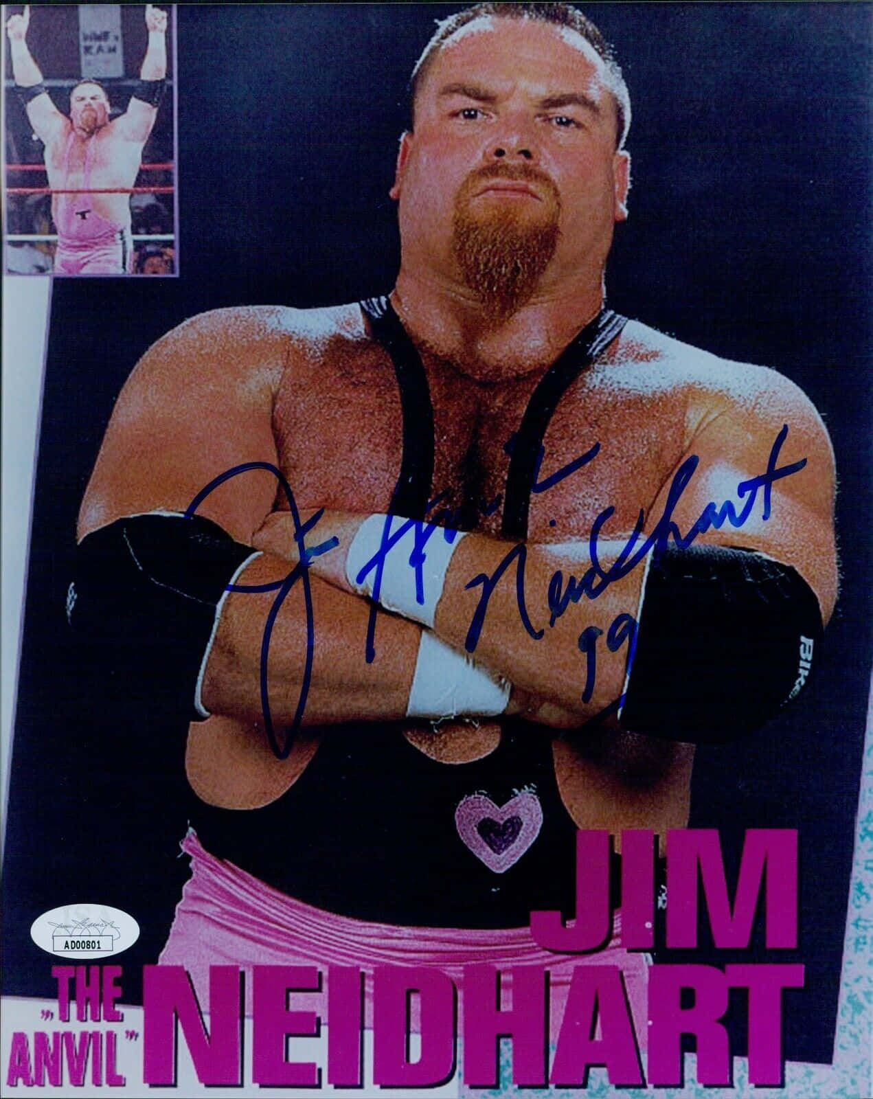 吉姆·尼德哈特藍墨簽名照 壁紙 — 摔角手 Jim Neidhart 在簽名照中交叉雙臂擺姿勢，身穿黑色緊身衣和帶有心形標誌的粉紅色短褲。