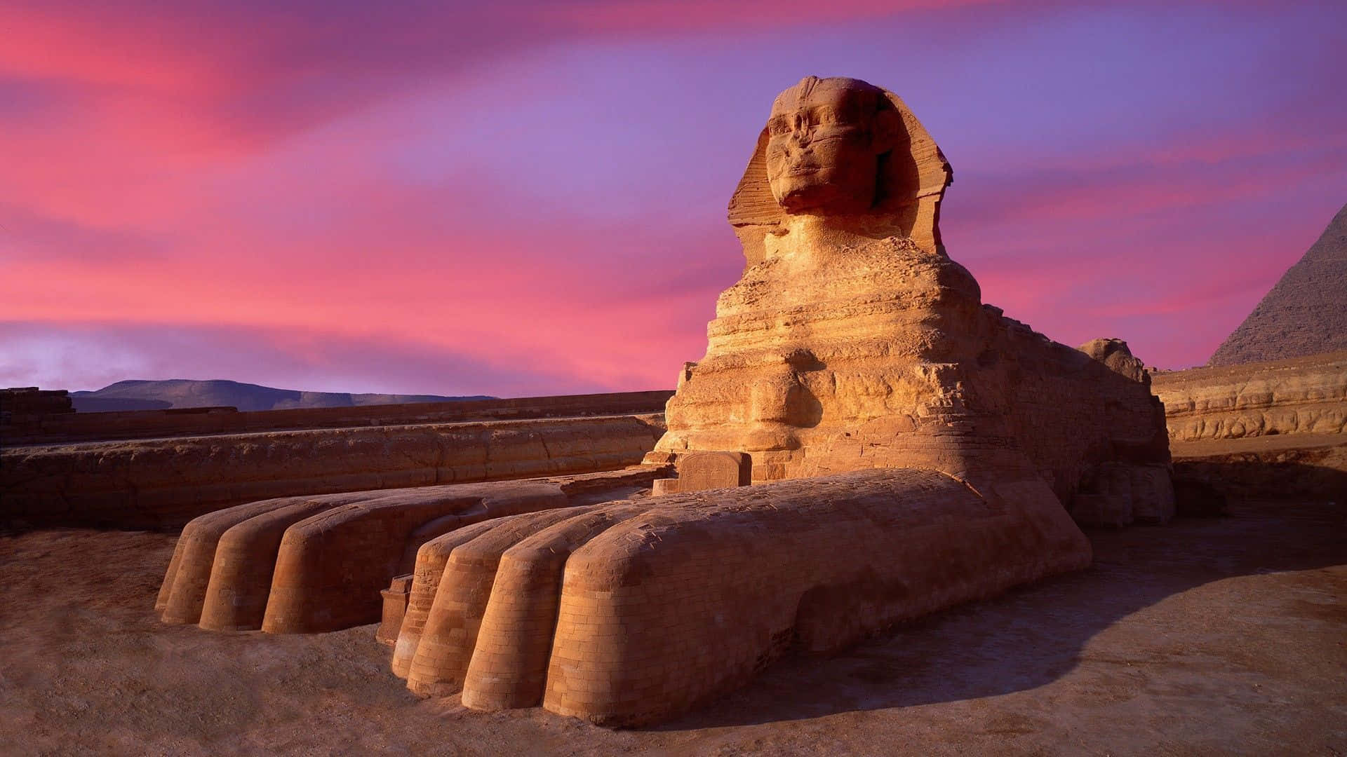 Egypt 桌布 壁紙 — 吉薩大獅身人面像沐浴在溫暖的金色光芒中，背景是戲劇性的粉紅色和紫色日落天空，遠處有金字塔。