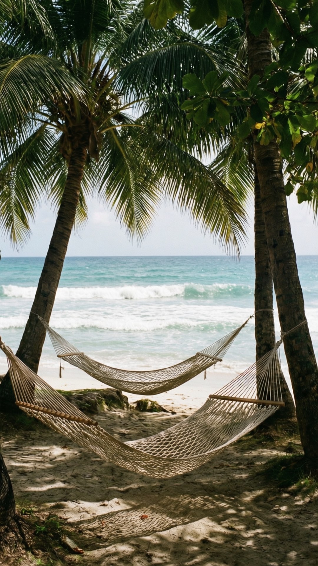 兩張吊床懸掛在棕櫚樹之間，位於面向海洋的沙灘上。