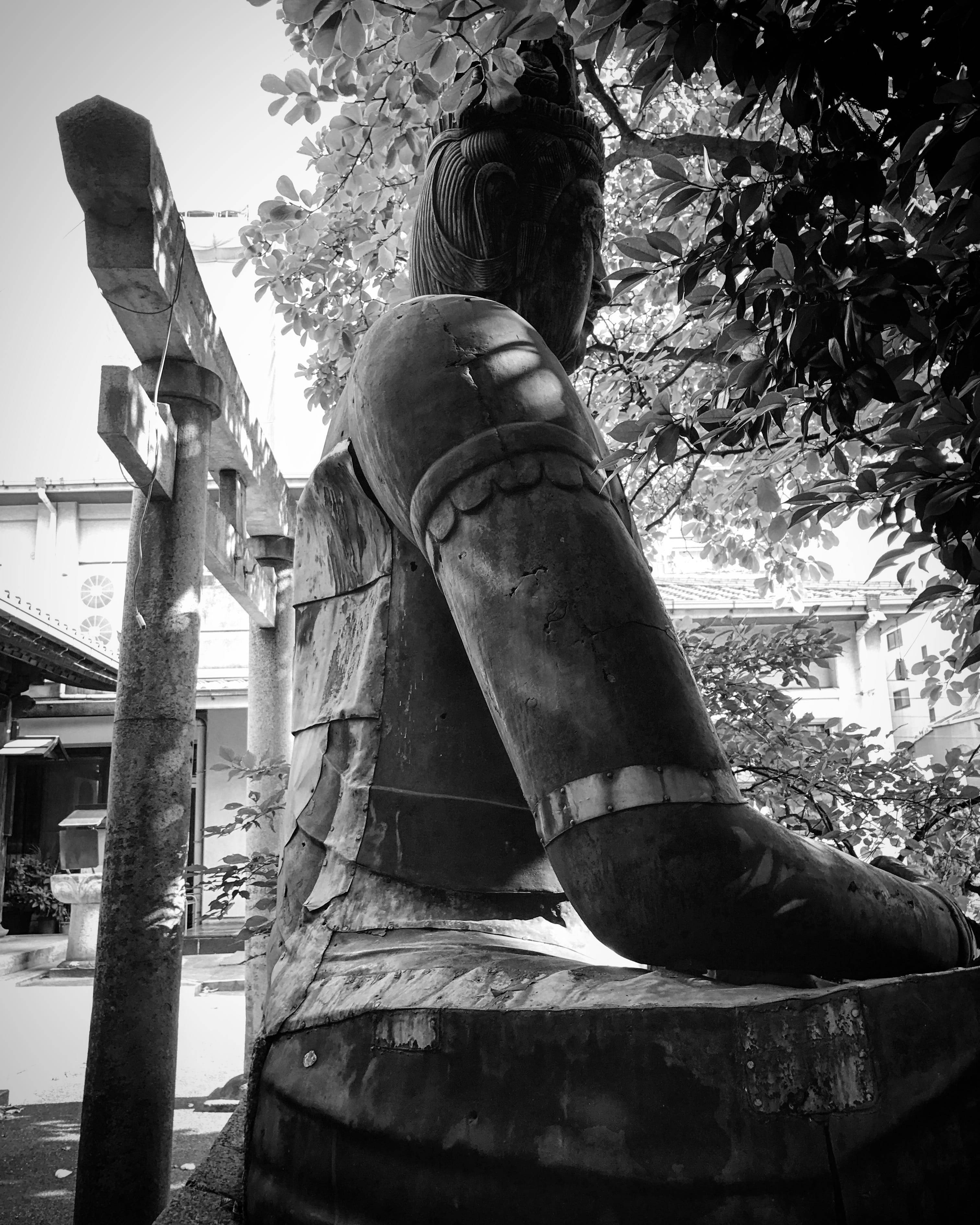 名古屋大須寺彌勒佛像 壁紙 — 一尊風化的黑白坐佛像，被樹枝和木製鳥居框在寧靜的神社環境中。