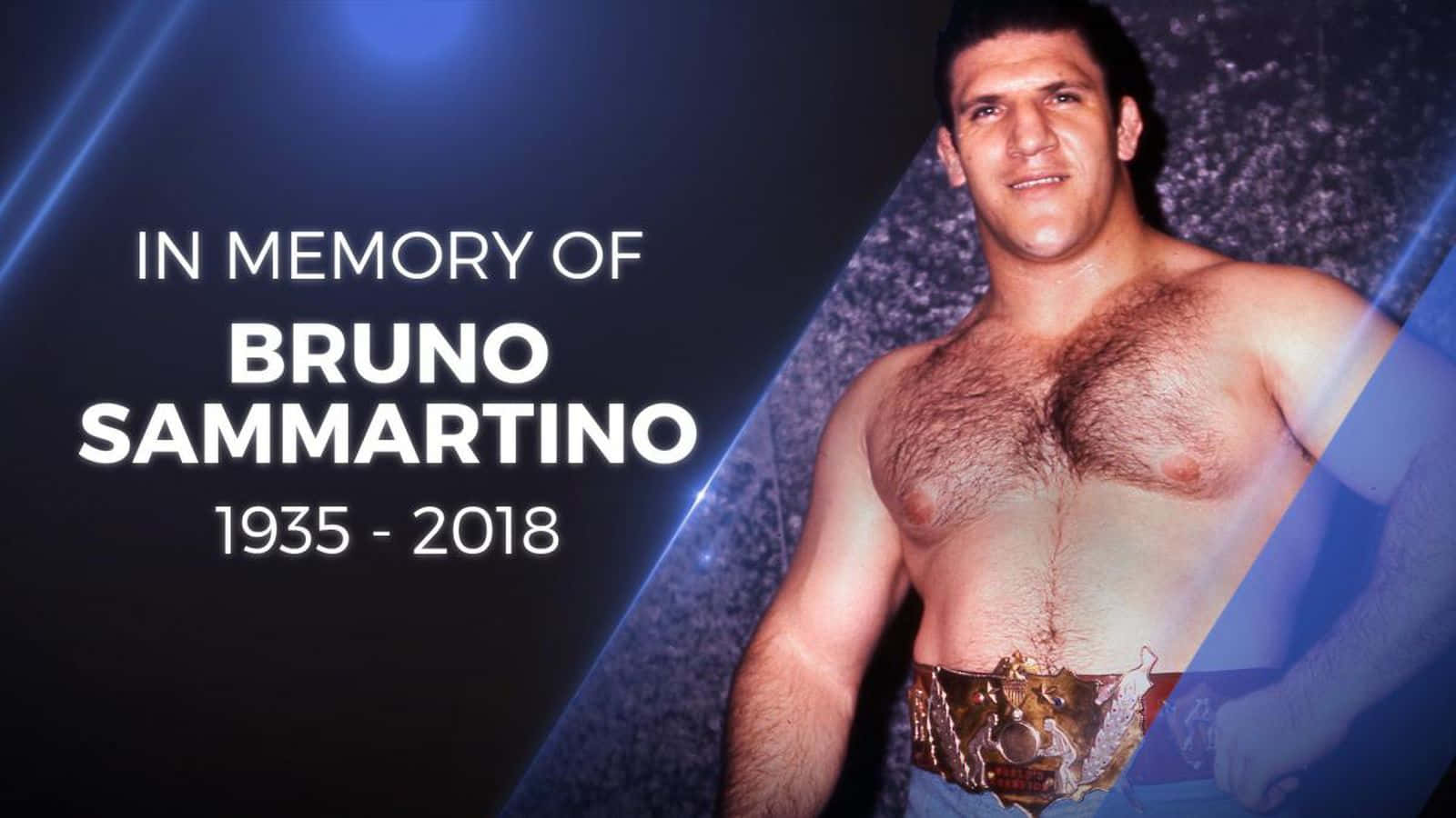 向摔角傳奇布魯諾·薩馬蒂諾致敬 壁紙 — 向摔角手 Bruno Sammartino 致敬的肖像，他佩戴冠軍腰帶，背景為深藍色聚光燈。