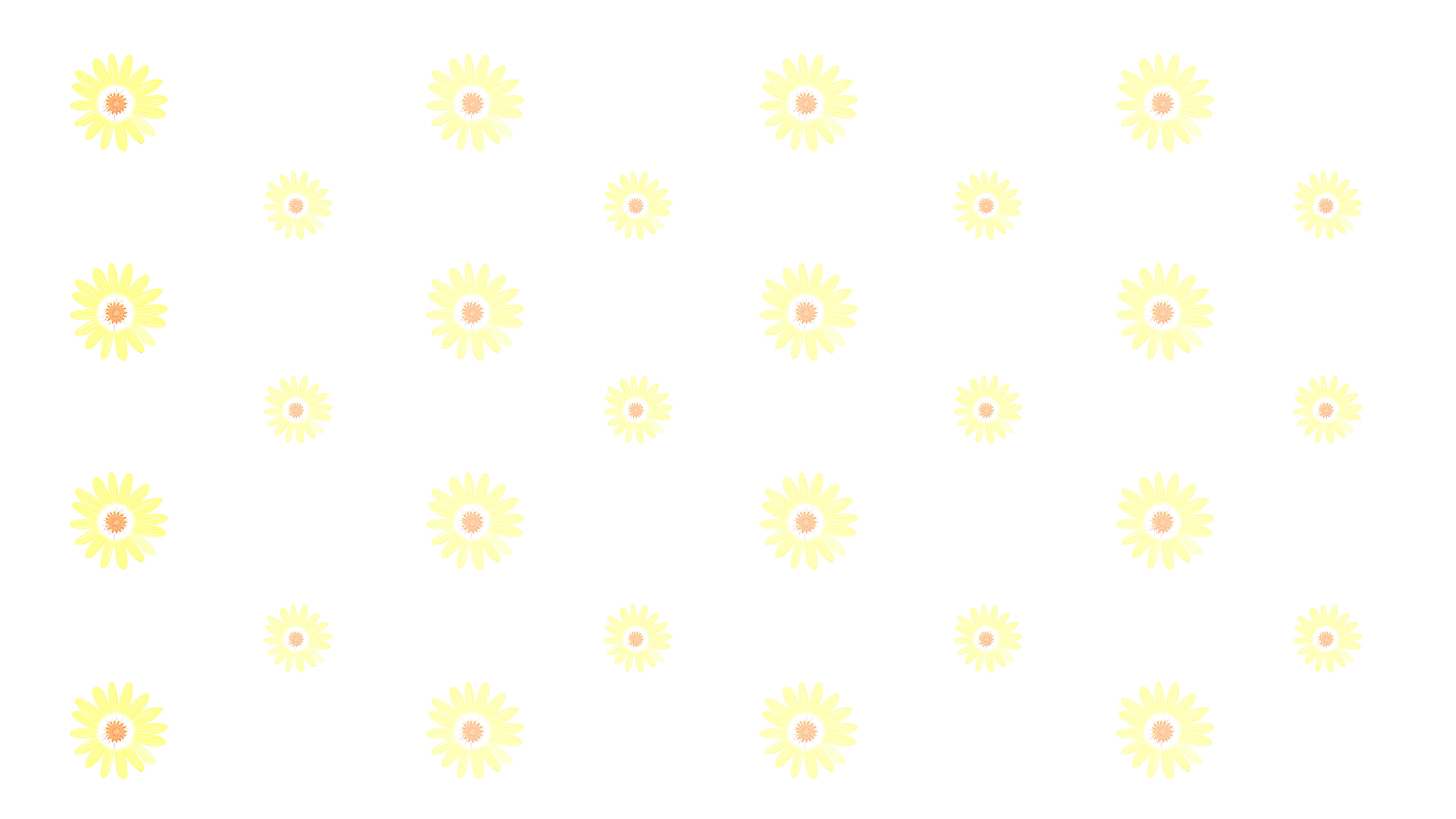 向日葵 3840 x 2160 背景 壁紙
