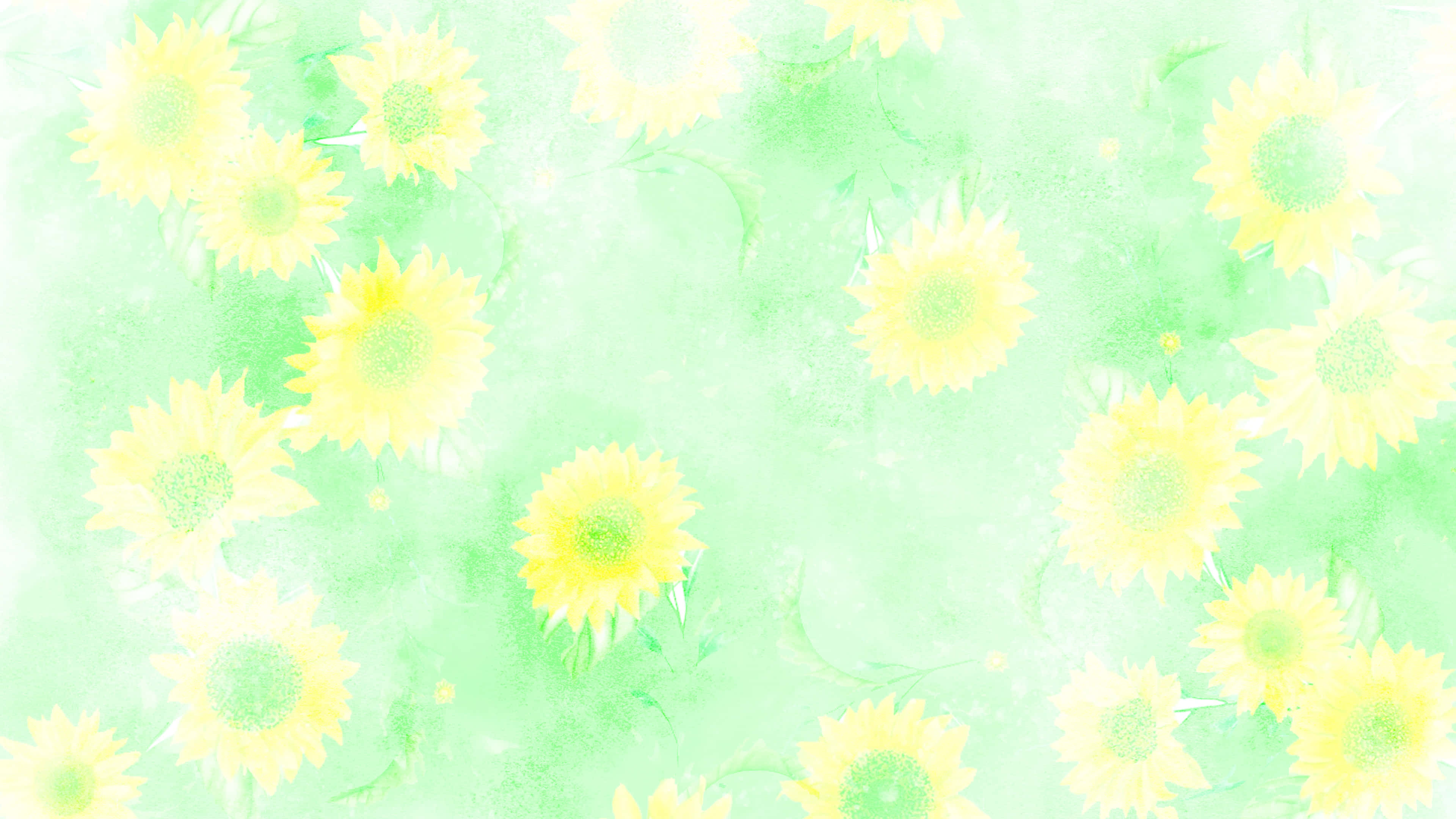 向日葵 3840 x 2160 背景 壁紙