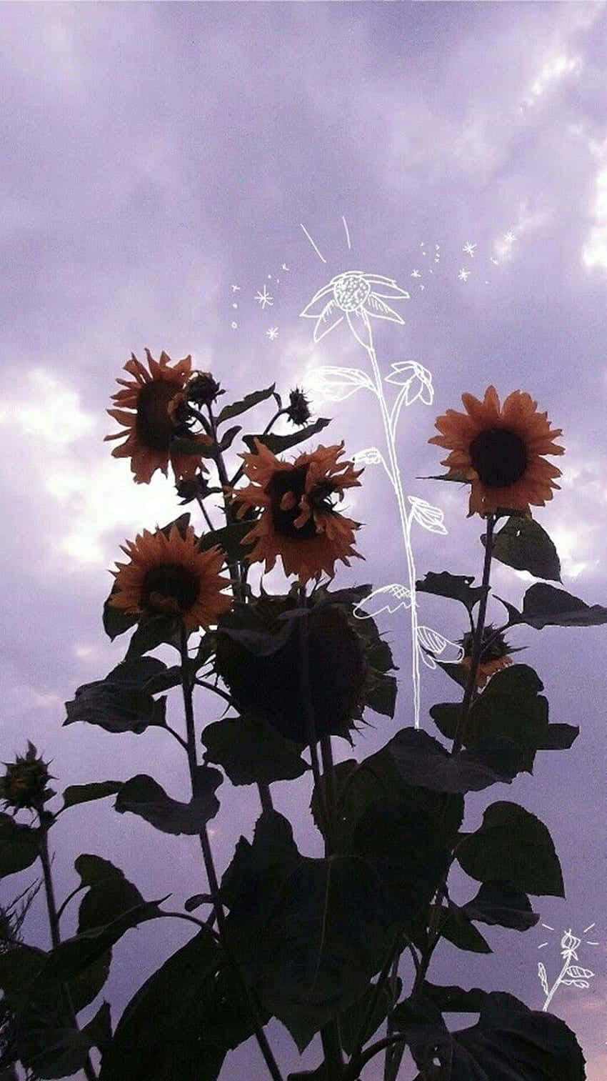 向日葵生活美學 壁紙
