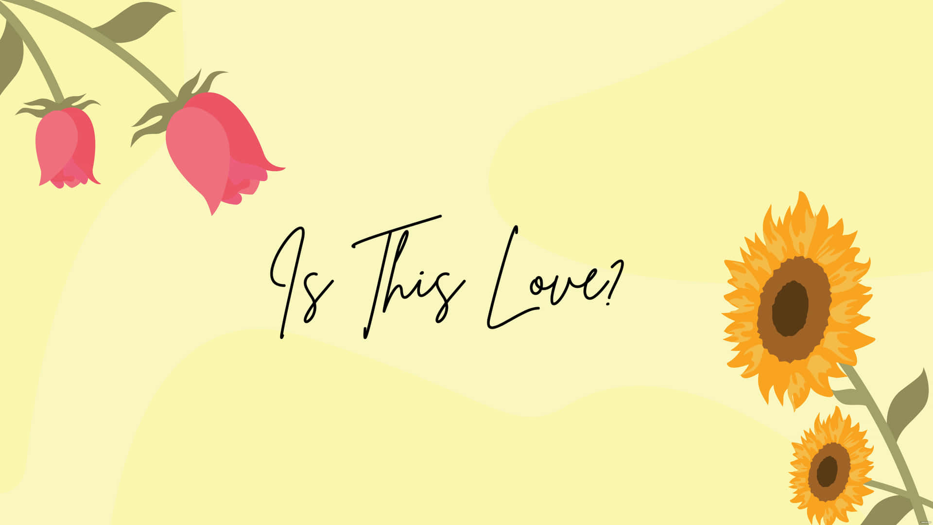 粉紅色玫瑰同向日葵喺黃色背景上圍住問題「Is This Love?」