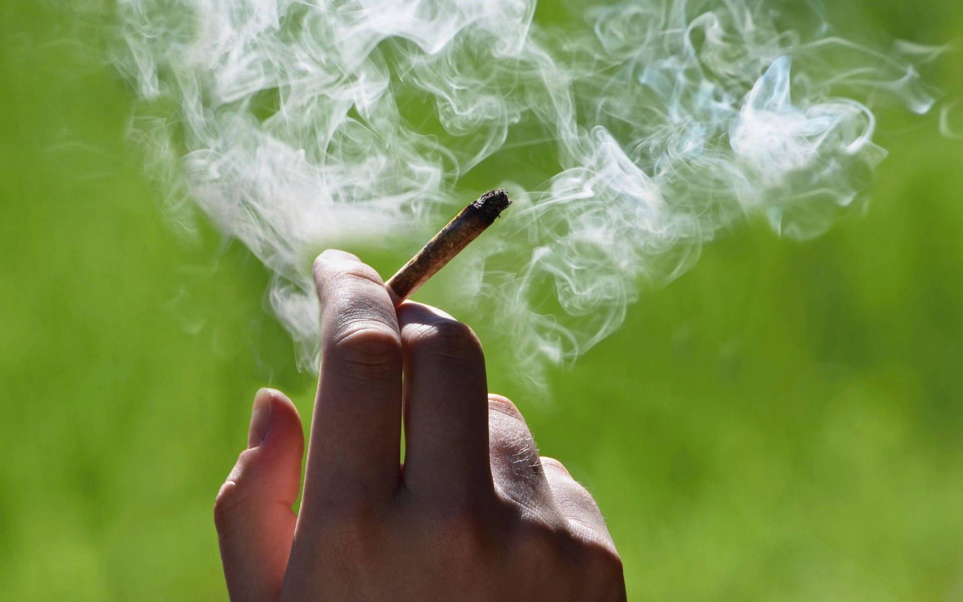 手拿點燃的大麻煙，煙霧在綠色背景上升起