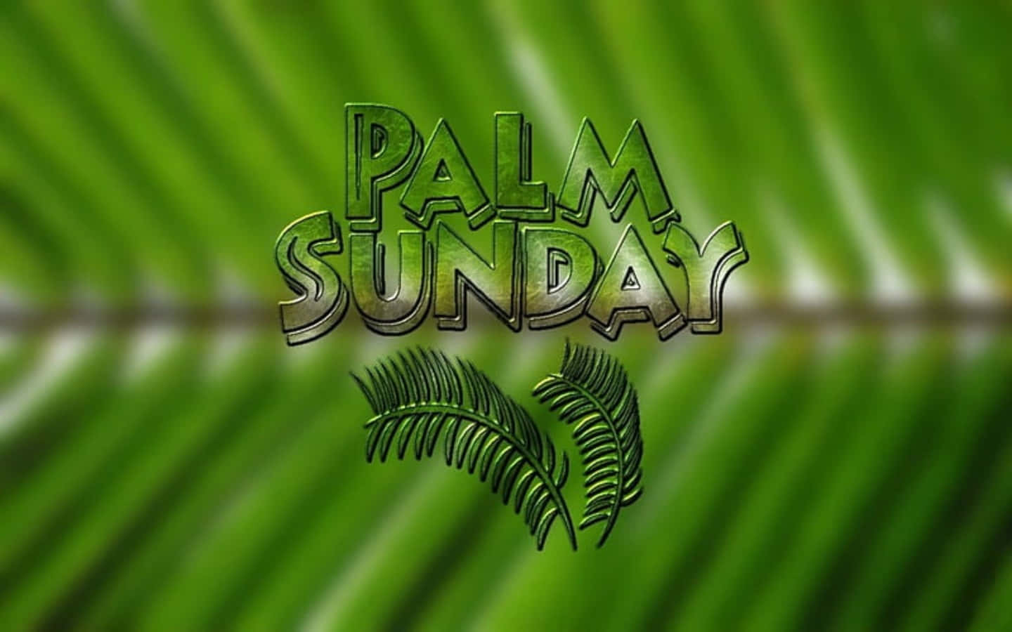 吸引人的棕櫚主日圖片 壁紙 — 粗體綠色 'PALM SUNDAY' 文字，棕櫚葉圖案疊加在模糊的熱帶葉子背景上。