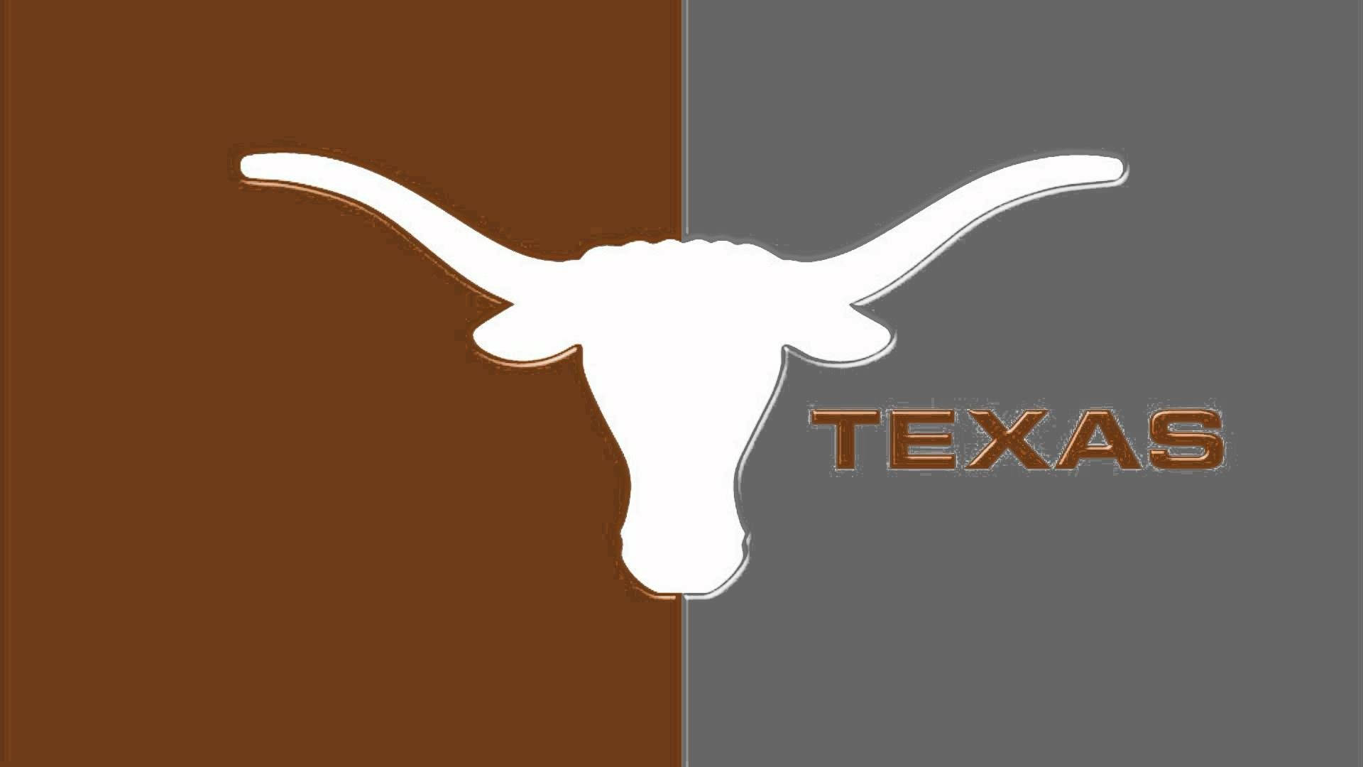 白色長角牛頭標誌，帶有 'TEXAS' 文字，位於棕色和灰色分割背景上。
