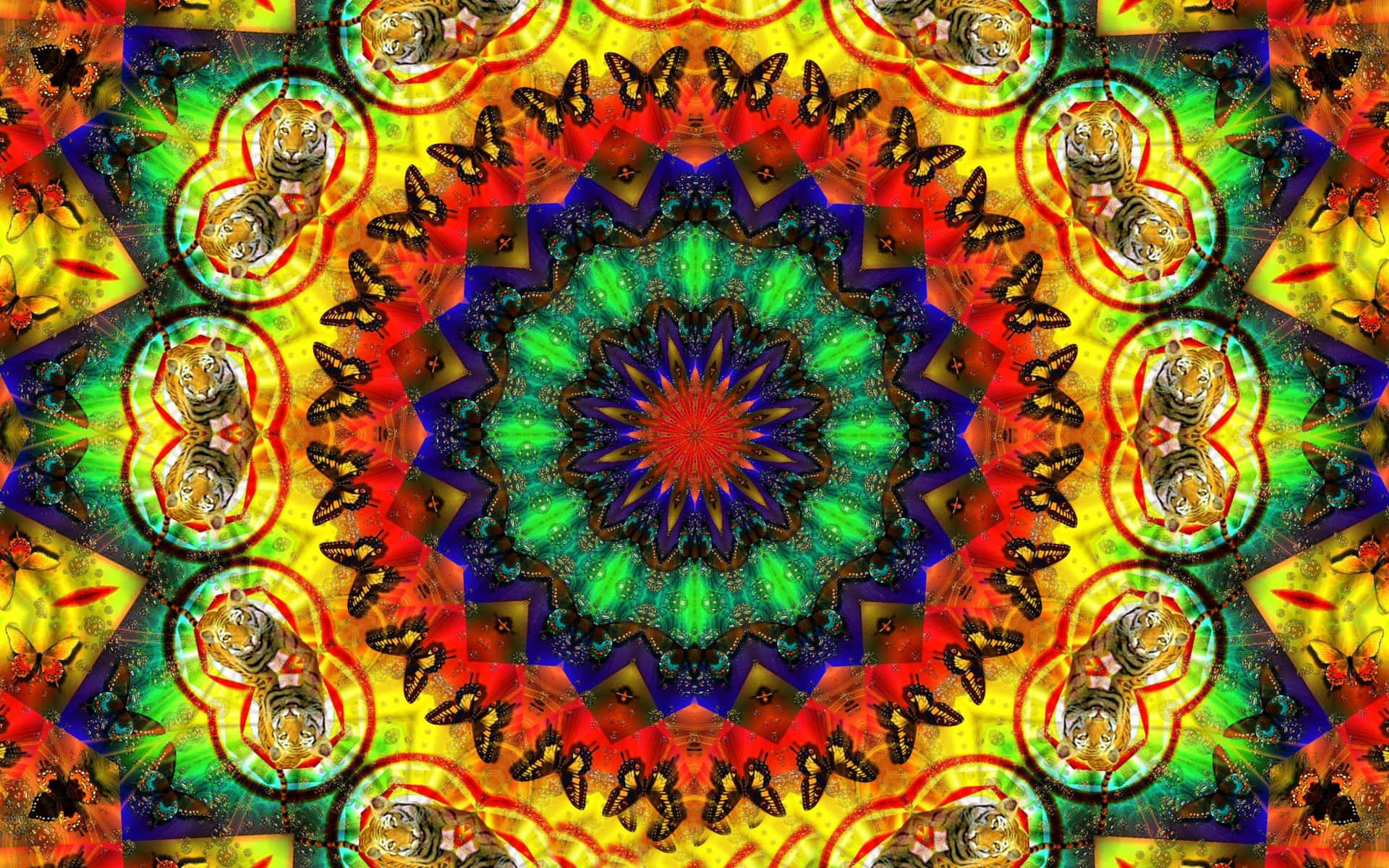 對稱的數位藝術，老虎頭和蝴蝶以彩虹色呈現。