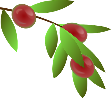 咖啡櫻桃插圖 壁紙