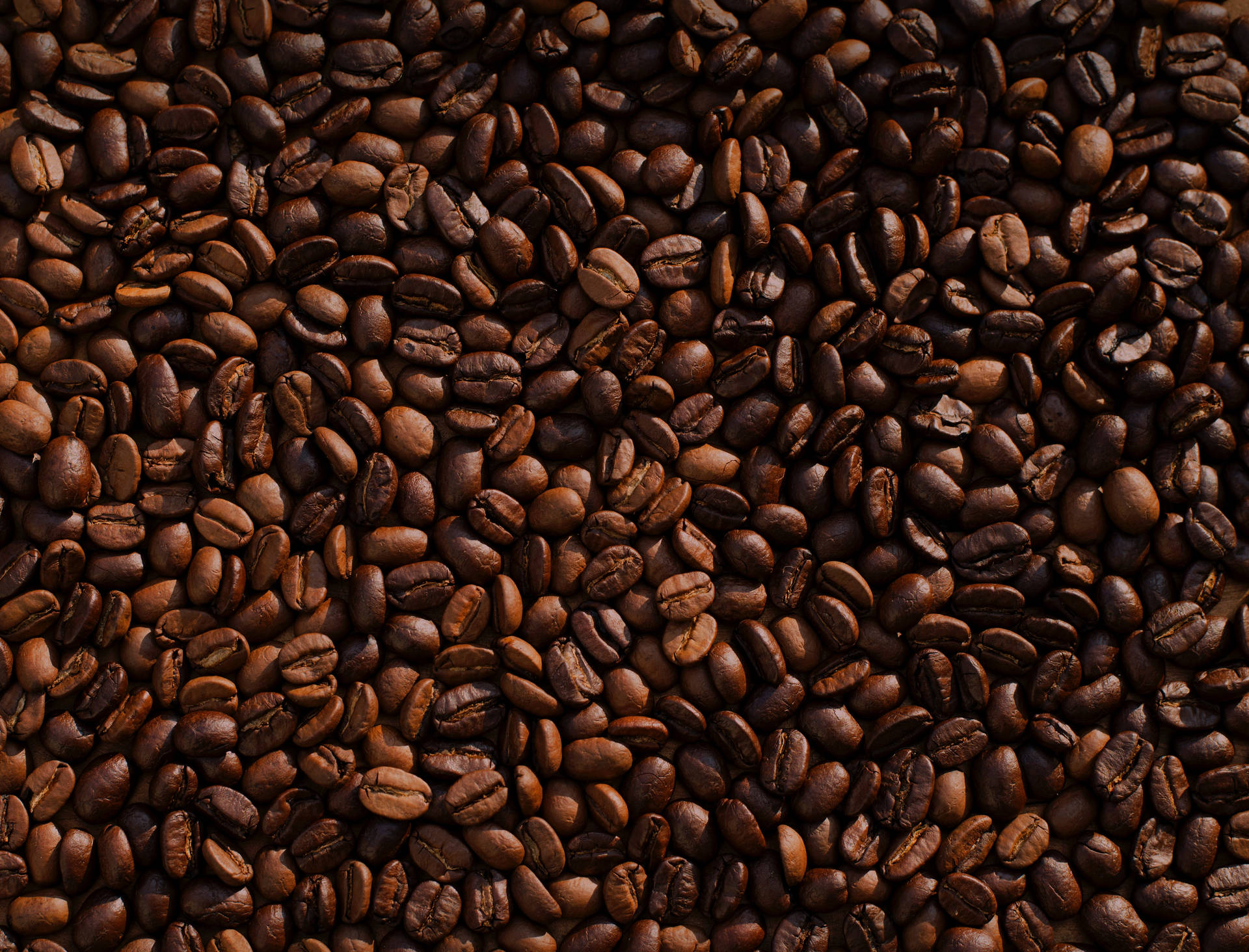 密集堆疊的烘焙咖啡豆，呈現不同深淺的棕色。