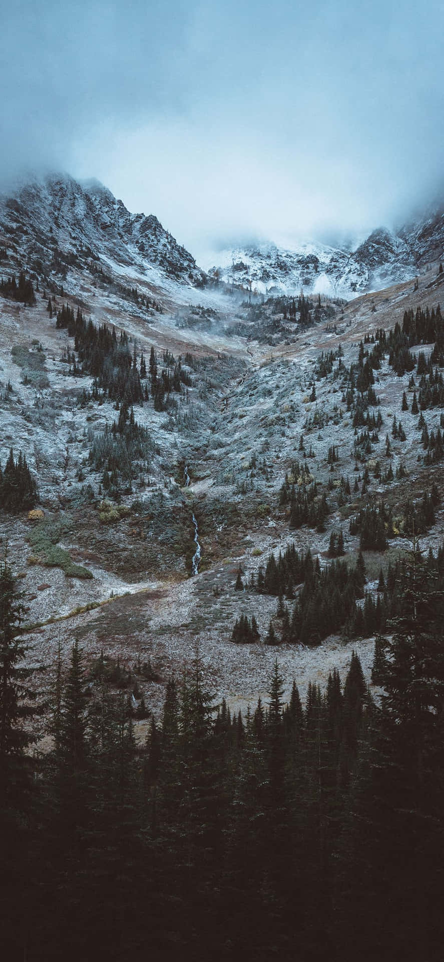 白雪覆蓋的山谷，有常綠樹和霧雲。