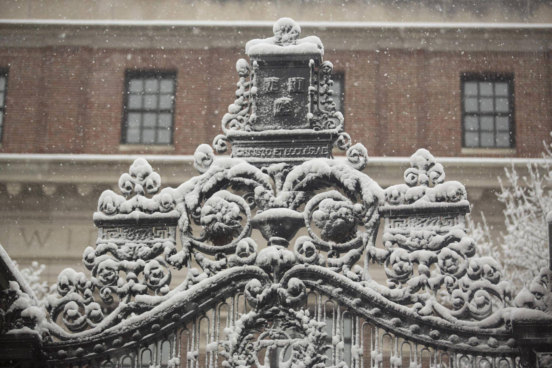 冬季下雪時，磚砌建築前白雪覆蓋的裝飾鐵門。
