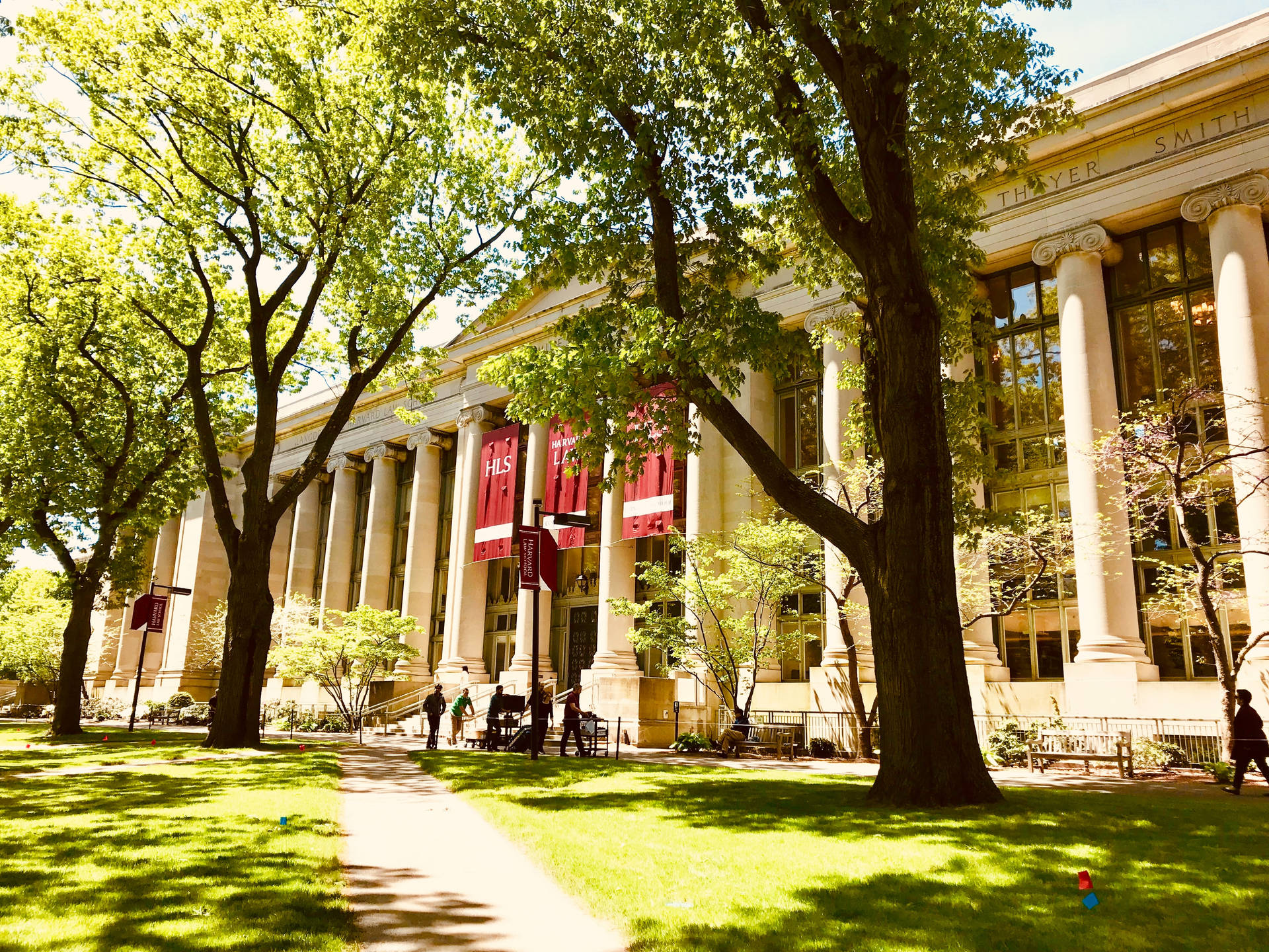 陽光普照的大學建築，草地上有柱子和樹木。