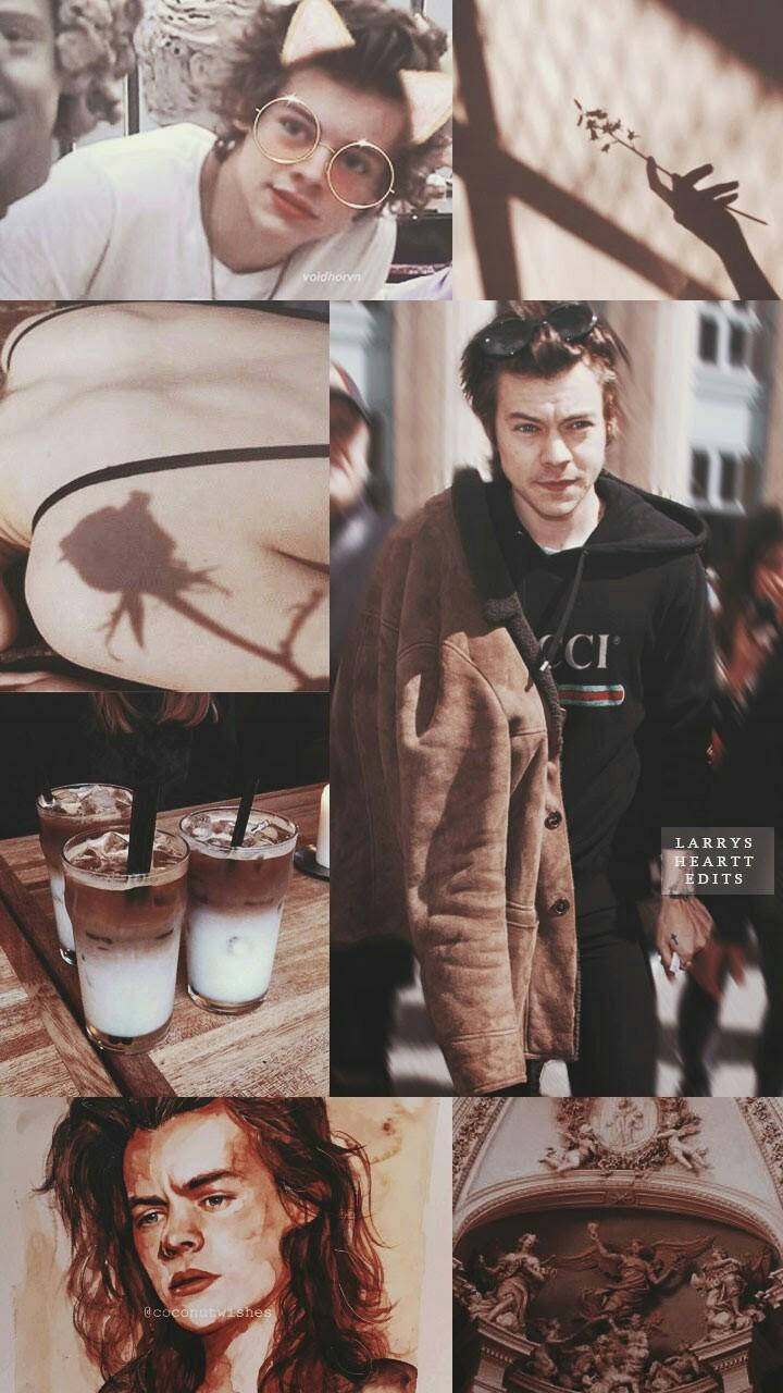 哈利·史泰爾斯風格服裝 壁紙 — Harry Styles 在不同姿勢和場景中的拼貼畫，帶有溫暖色調和藝術編輯。