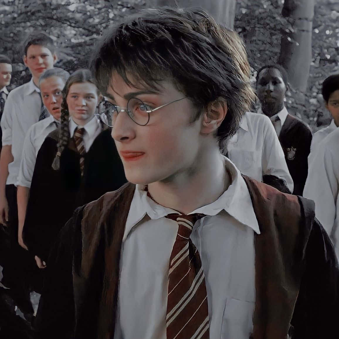 哈利波特穿著霍格華茲制服，站在森林中，身後有同學。