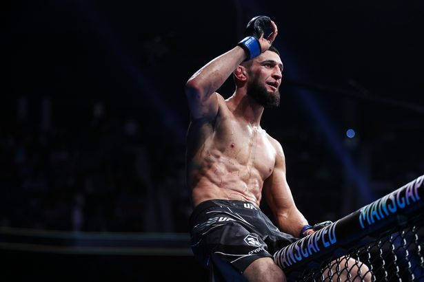 一位勝利的MMA鬥士在比賽後於籠中舉起手。 — 動態 壁紙