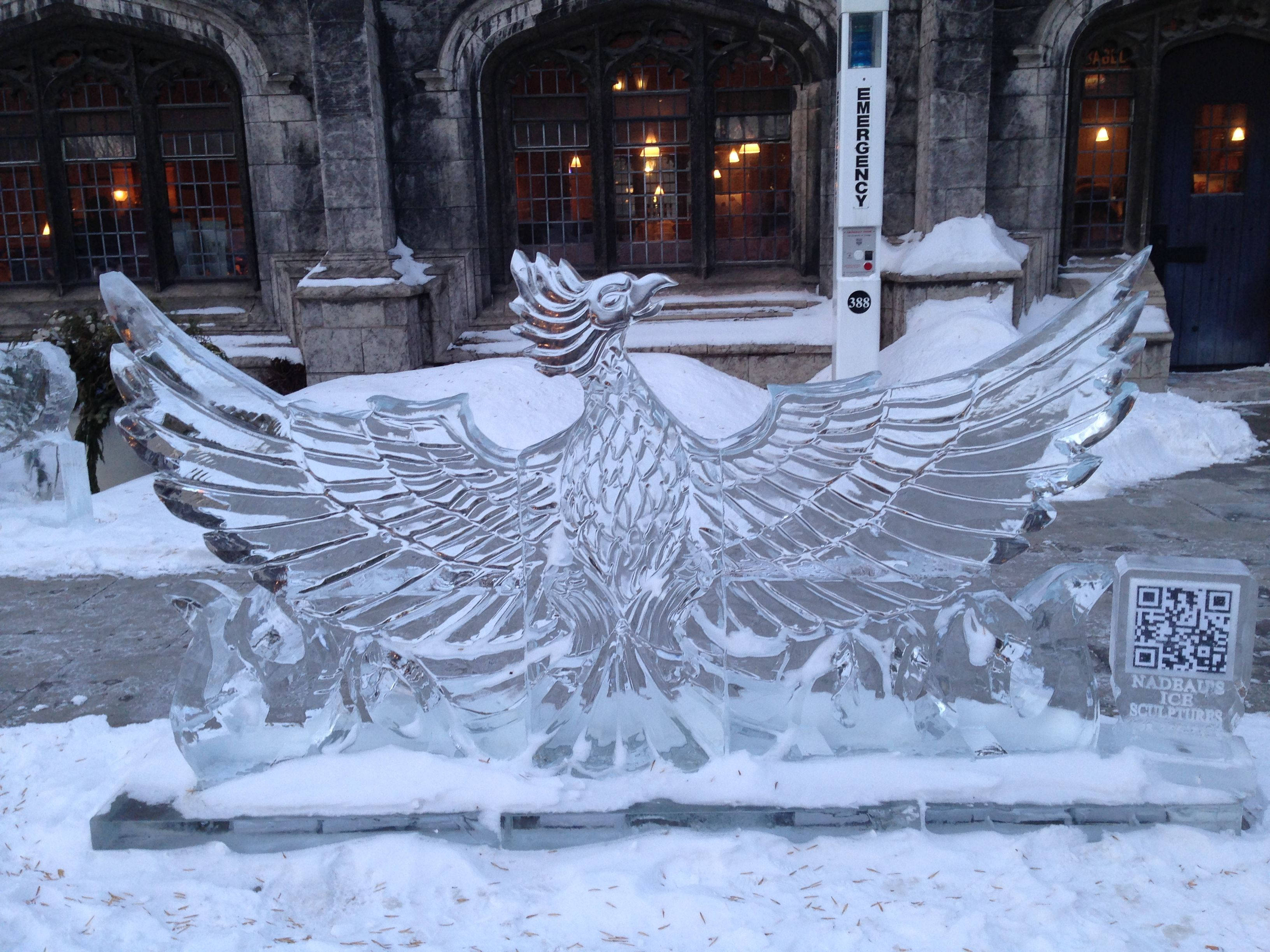 哈爾濱冰雪節壯觀景觀 壁紙 — 夜晚，一座雄偉的冰雕鳳凰展翅，矗立在積雪的石建築前。