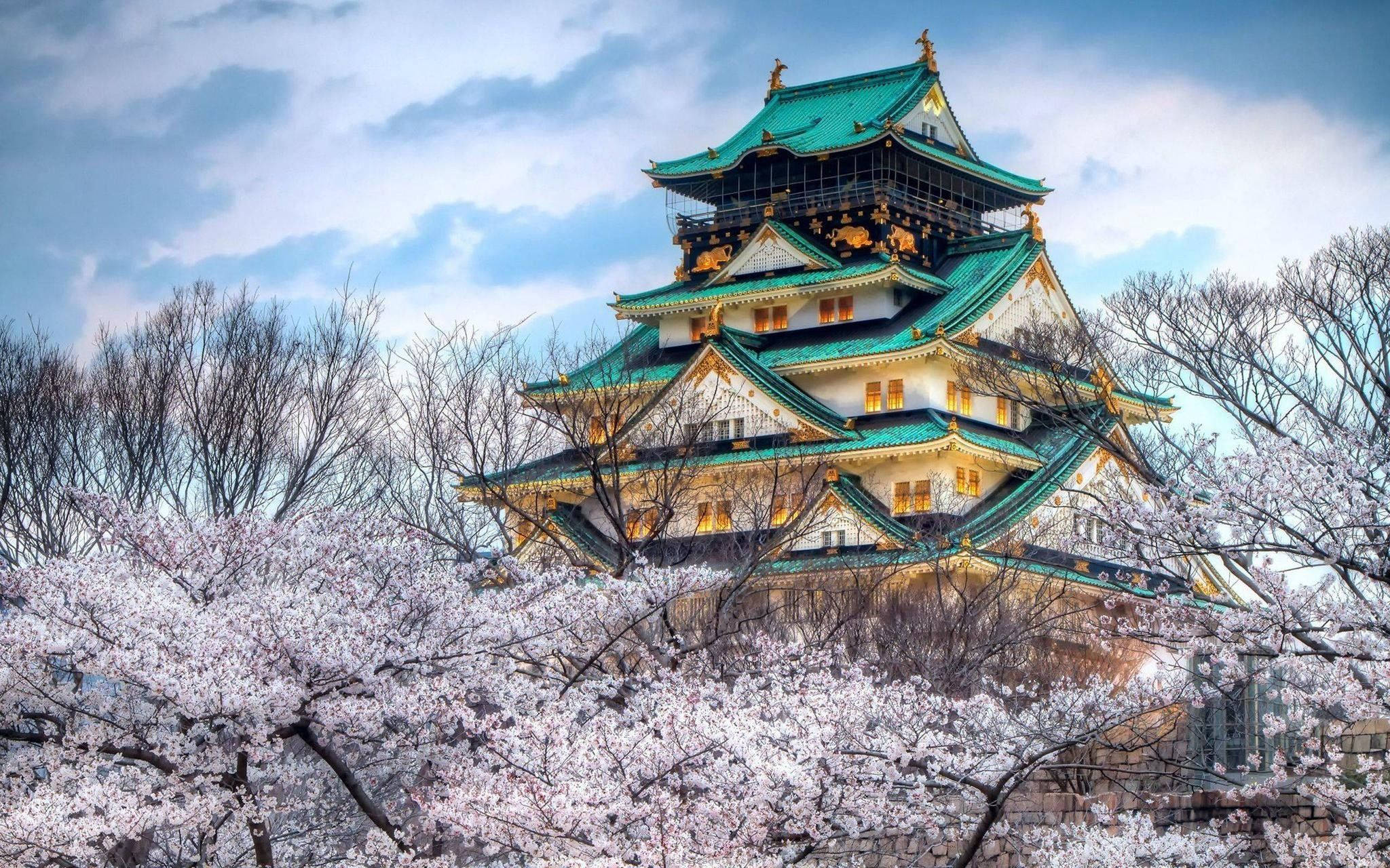 哈爾濱櫻花與中式屋舍 壁紙 — 一座雄偉的日本城堡，擁有綠色屋頂和溫暖的燈光，矗立在盛開的粉紅色櫻花後面，天空多雲。