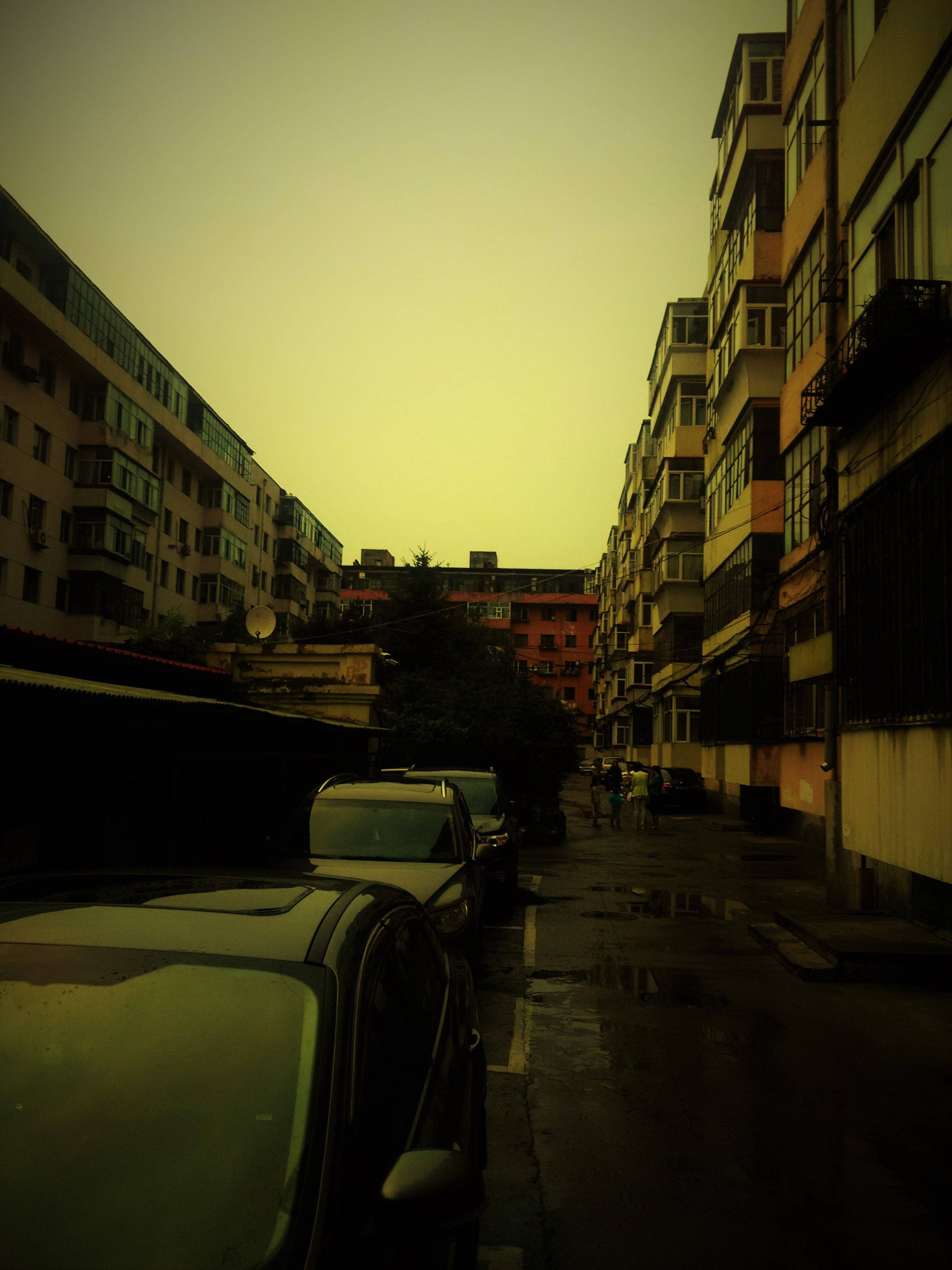 哈爾濱街頭黃昏 壁紙 — 高樓住宅大廈之間一條狹窄的城市小巷，沐浴在溫暖的黃金時刻光線中，停泊的汽車和濕漉漉的路面反射著光芒。