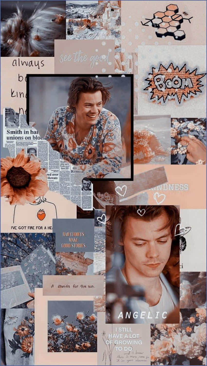 帶有 Harry Styles 照片、花朵和勵志語錄的柔和色調拼貼。