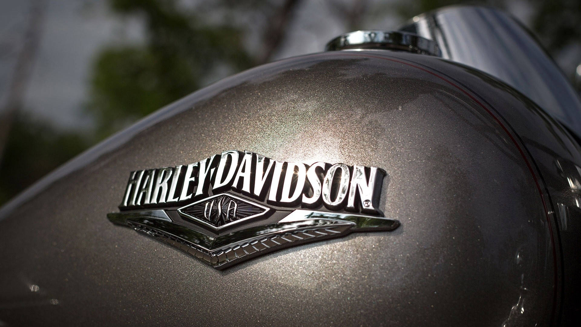 哈雷戴維森標誌摩托車 壁紙 — 金屬油缸上閃亮的Harley-Davidson標誌特寫，背景有模糊的綠色樹葉。