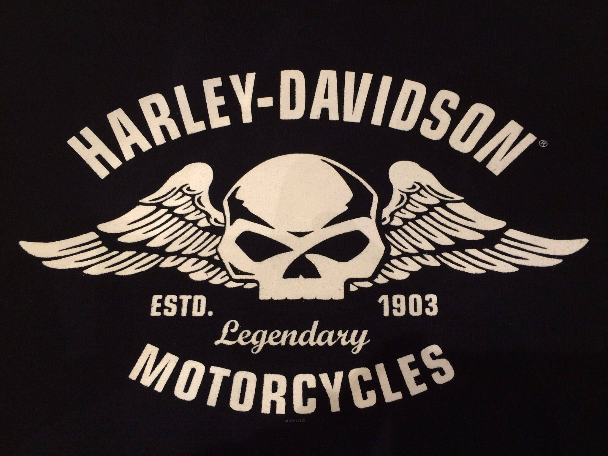哈雷戴維森標誌翼裝骷髏 壁紙 — 一件黑色T恤展示了一個白色的Harley-Davidson標誌，上面有一個帶翅膀的骷髏頭和'ESTD. 1903 Legendary MOTORCYCLES'文字。
