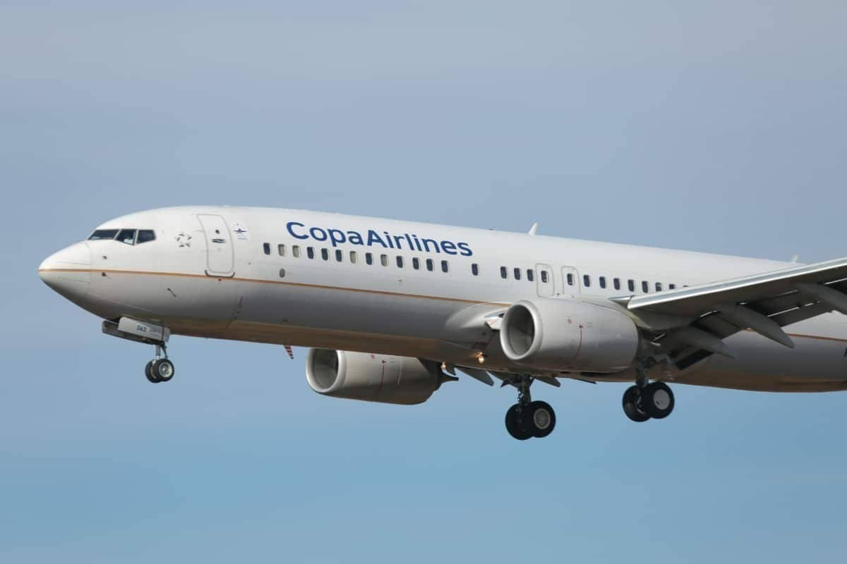 巴拿馬航空飛機在晴朗的藍天下放下起落架降落。