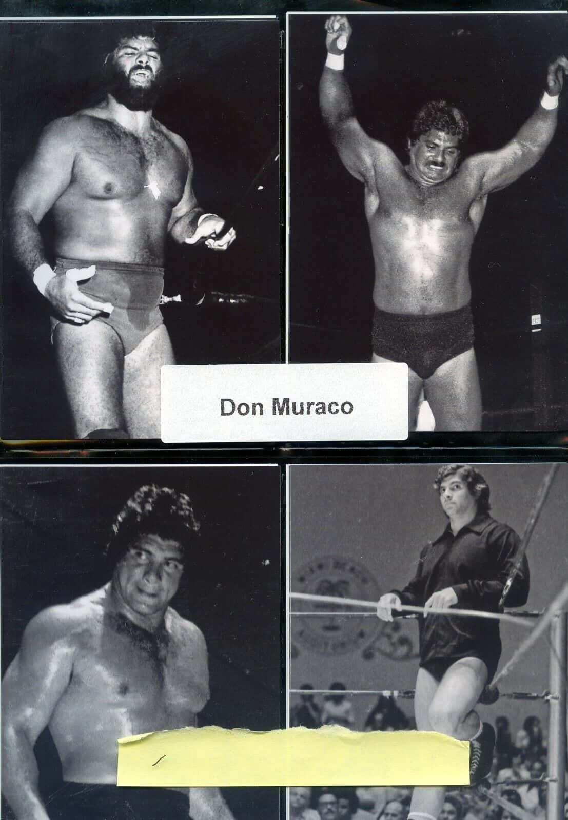 四張摔角手 Don Muraco 在摔角擂台姿勢的黑白照片。