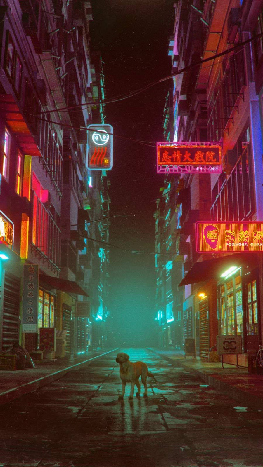 唐人街孤犬 壁紙 — 一隻孤獨的狗站在夜晚霓虹燈閃爍的城市中濕漉漉的巷子裡，周圍是發光的招牌和高聳的建築物。
