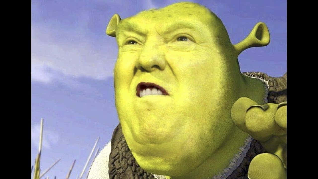 唐納德·川普與史瑞克Dank Memes圖片 壁紙 — 史力加近鏡，憤怒表情，藍天背景，前景有草葉。