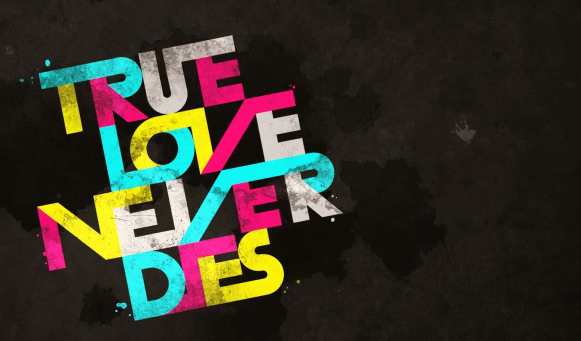 在深色紋理背景上，以鮮豔色彩拼寫出 true love never dies 的大膽文字