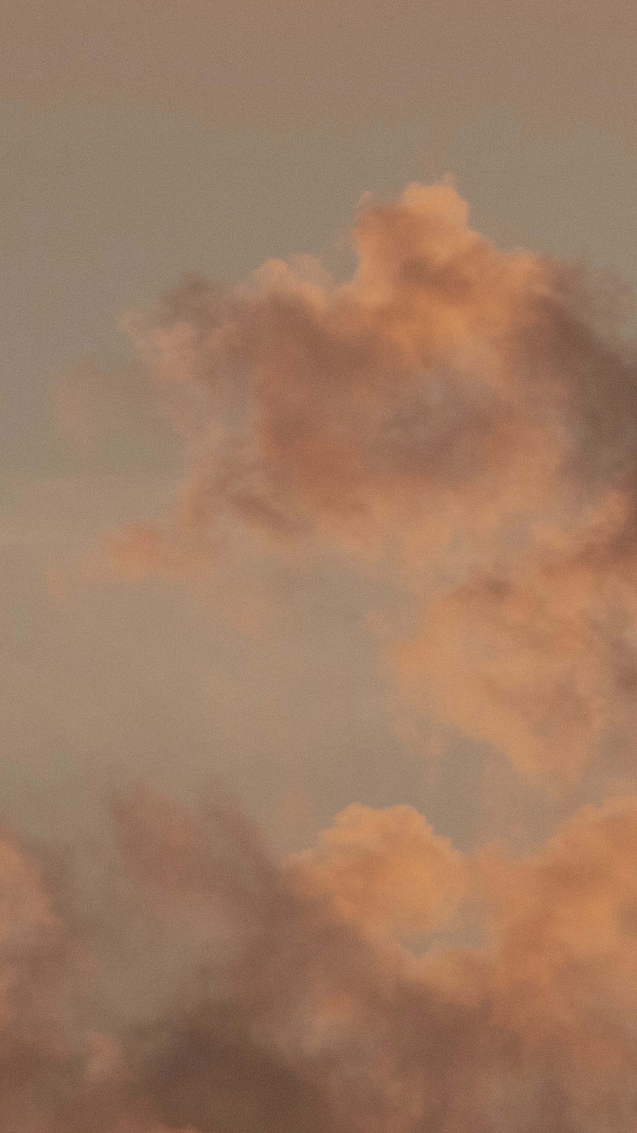 唯美 2160 x 3840 背景 壁紙