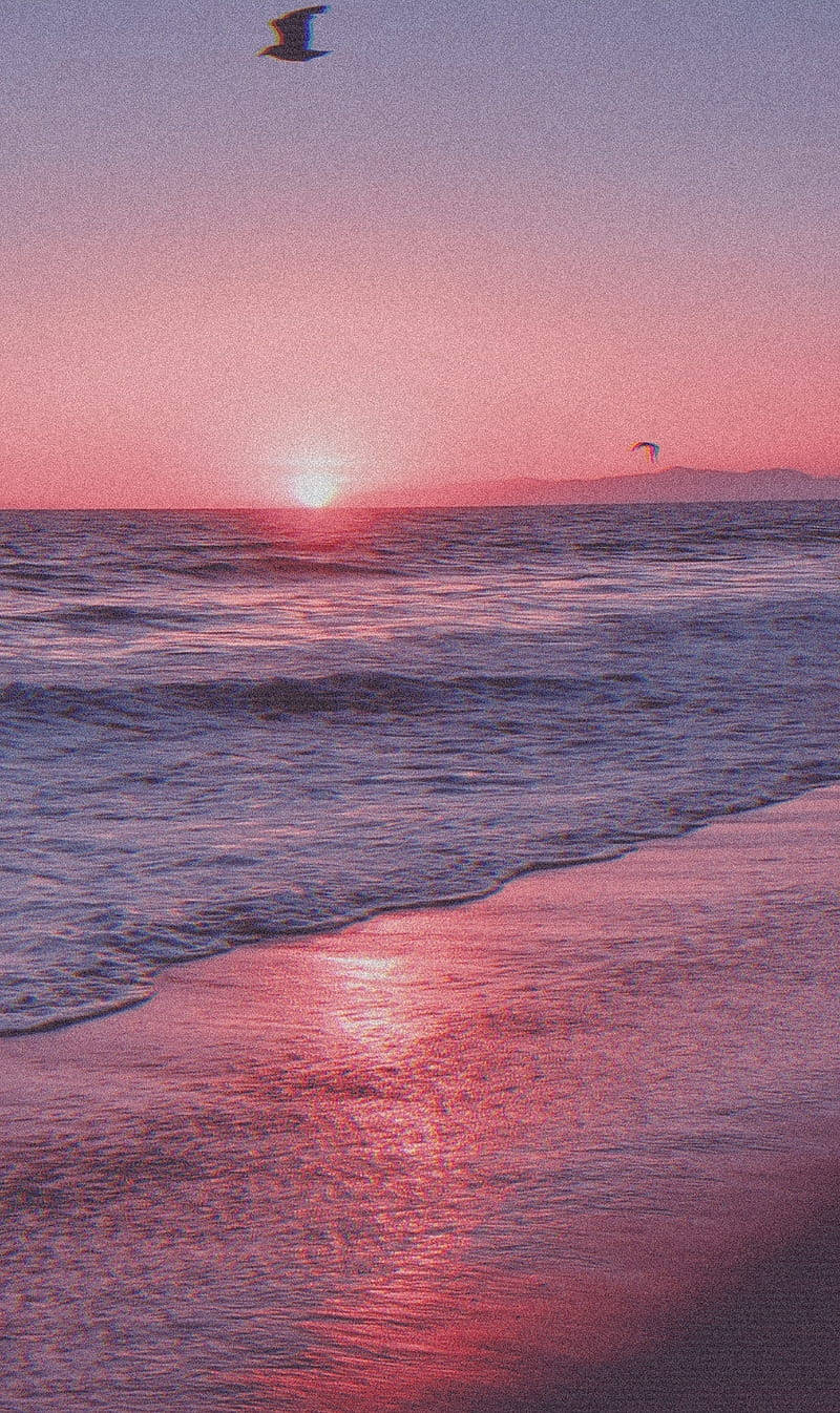 海洋上空粉紅色和紫色的日落，海鷗在濕沙上方飛翔。
