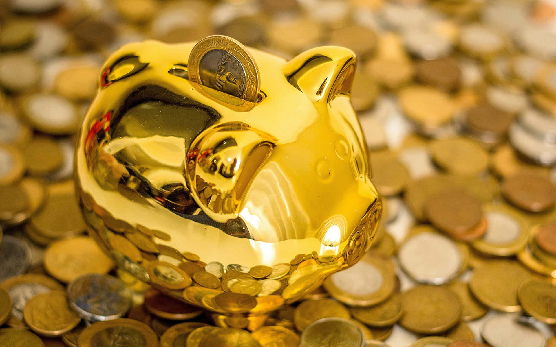 金色豬仔錢罌被硬幣包圍