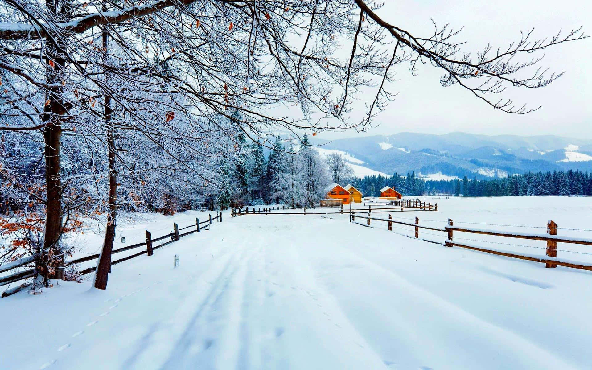 冬季森林中通往橙色木屋的雪徑，遠方有被雪覆蓋的山巒。