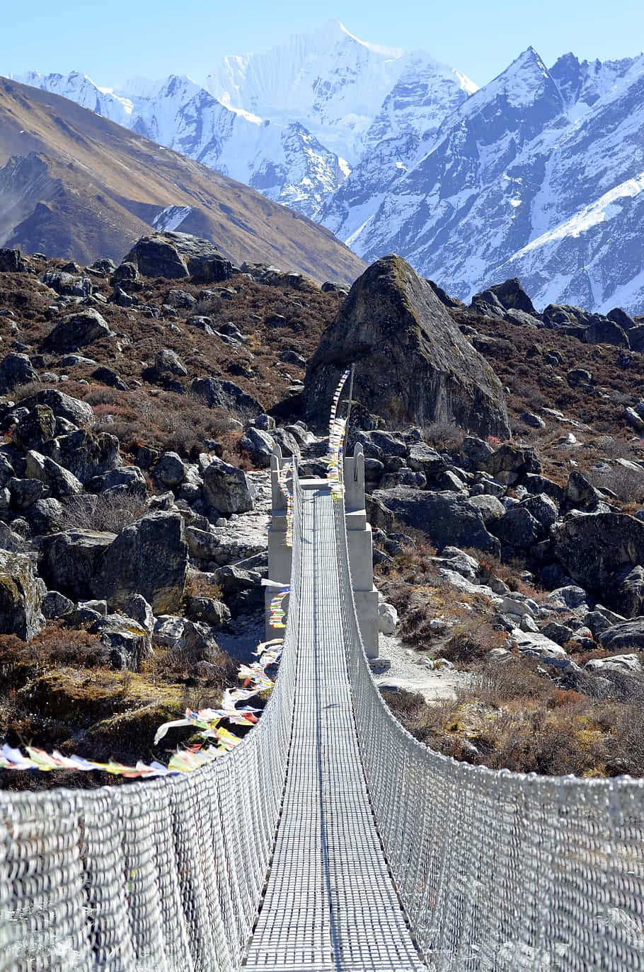 吊橋橫跨岩石山隘，遠處有白雪覆蓋的山峰。