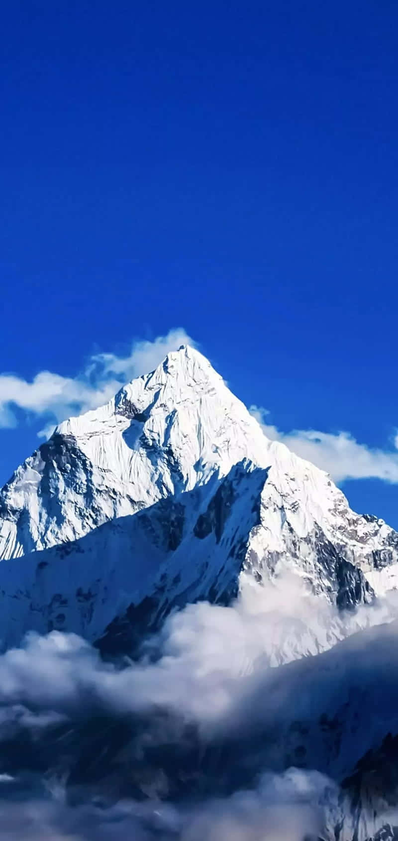 雪山峰頂在晴朗的藍天下高聳於雲層之上