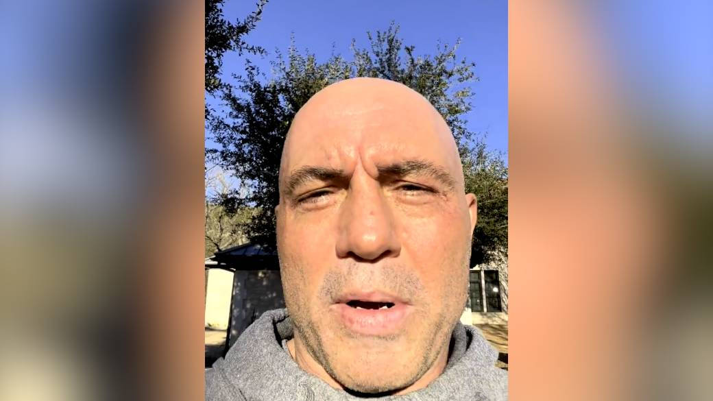 一個光頭男人在陽光明媚的日子穿著灰色連帽衫在戶外，背景有樹木。