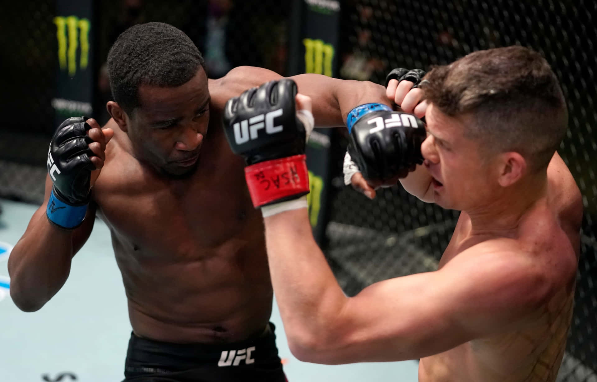 兩名男性MMA拳手在UFC比賽期間於八角籠內互相出拳。