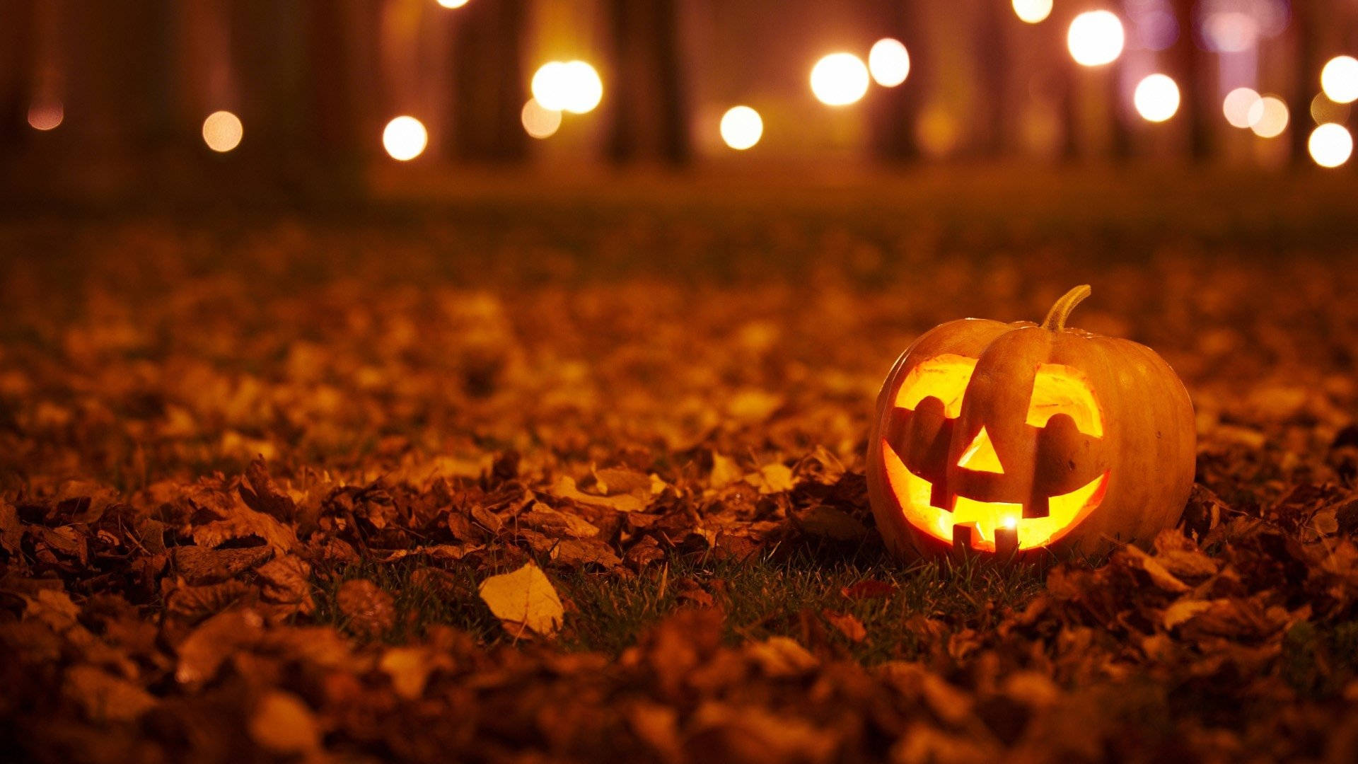 夜間，發光的傑克南瓜燈放在鋪滿落葉的地上，背後有模糊的燈光。