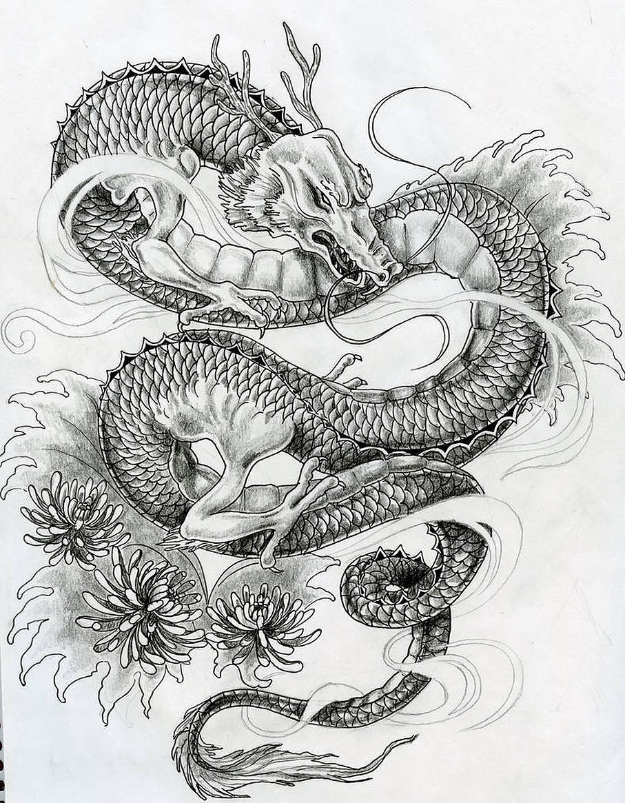 單色日本龍紋身素描 壁紙 — 一幅詳細的黑白插圖，描繪了一條盤繞的龍，帶有複雜的鱗片和飄逸的鬃毛，周圍環繞著菊花。