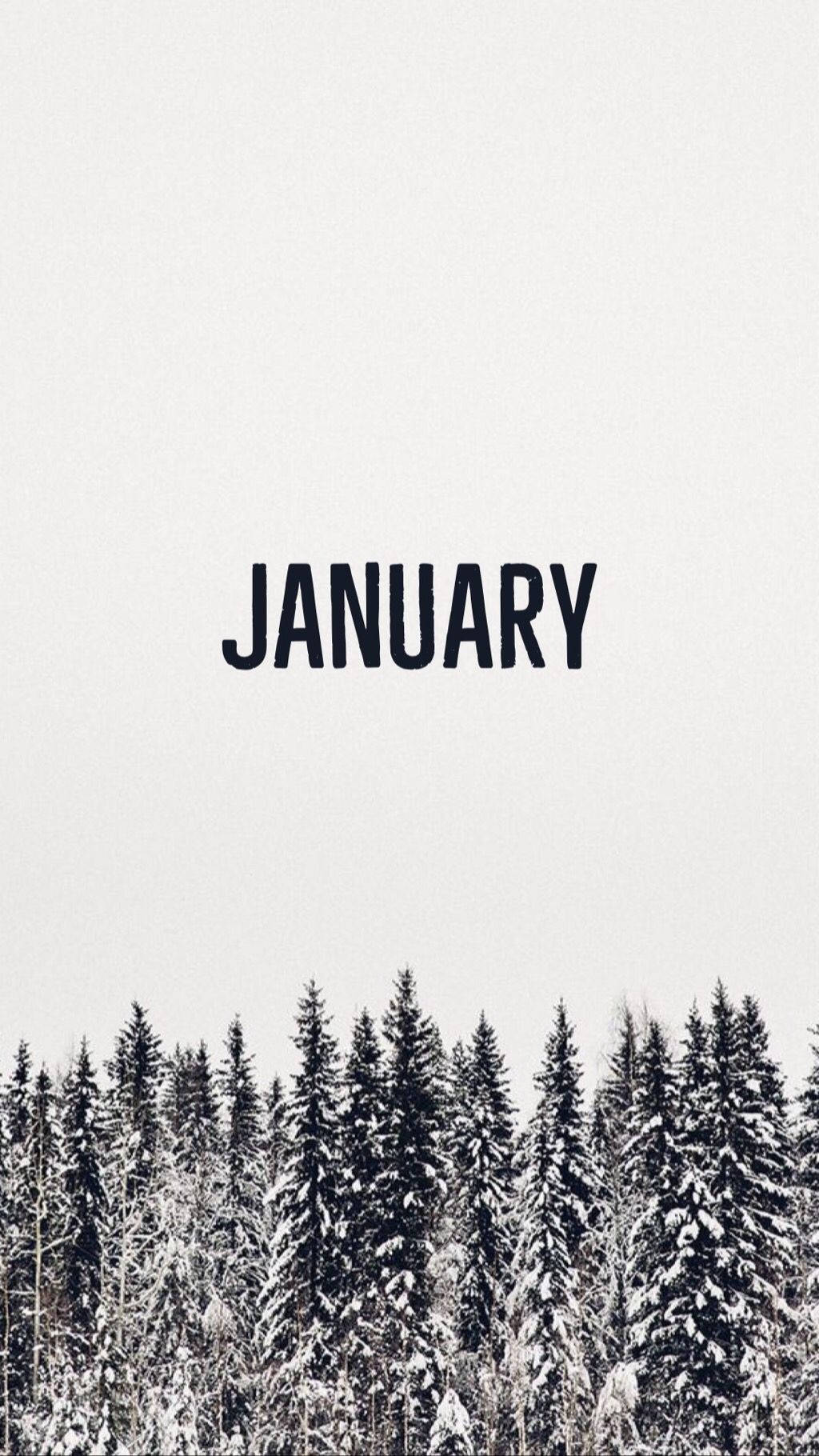 白雪松林，中央有黑色文字「january」。