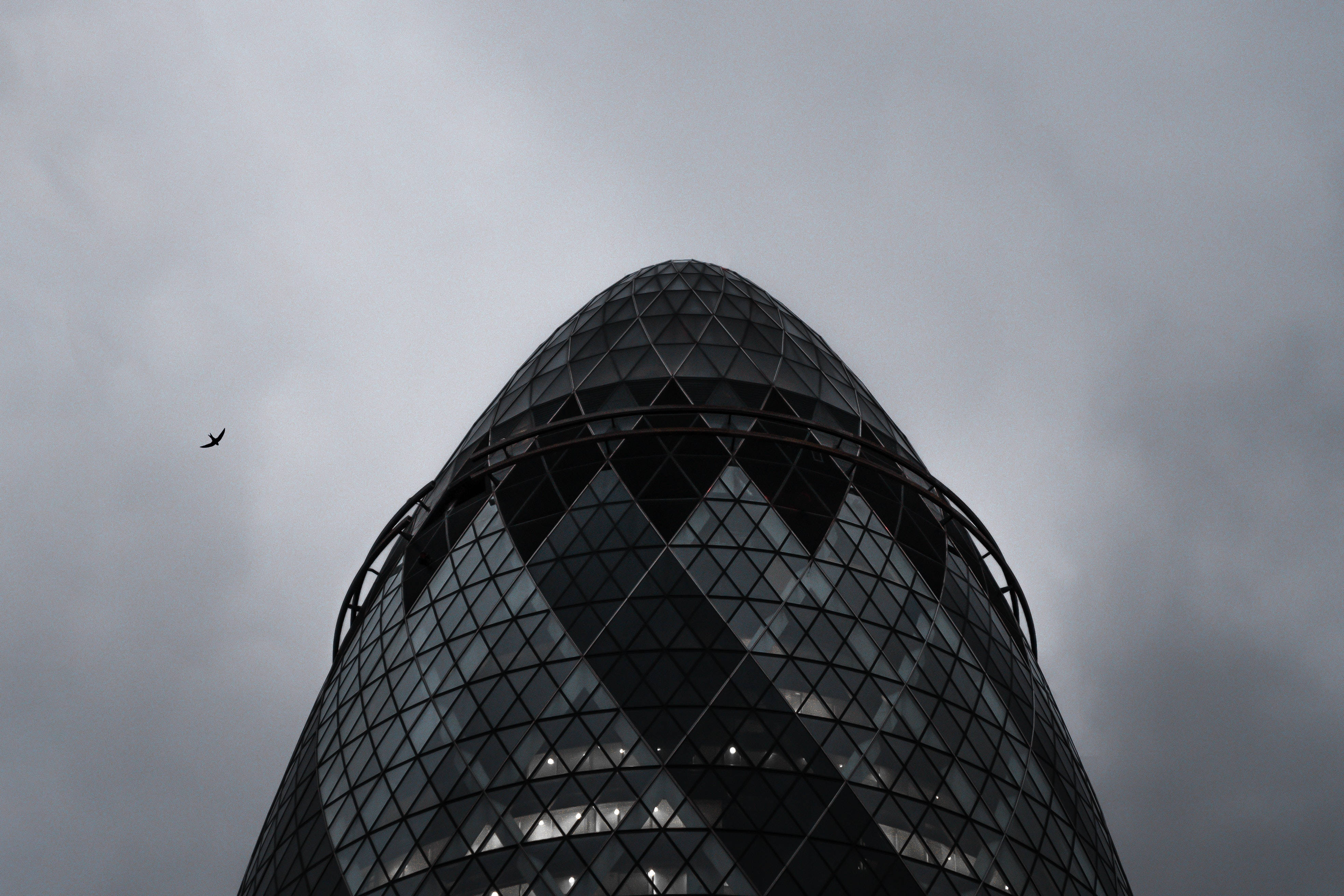 單色的The Gherkin 壁紙 — 低角度拍攝的Gherkin摩天大樓，陰沉灰暗的天空下一隻孤鳥飛過。