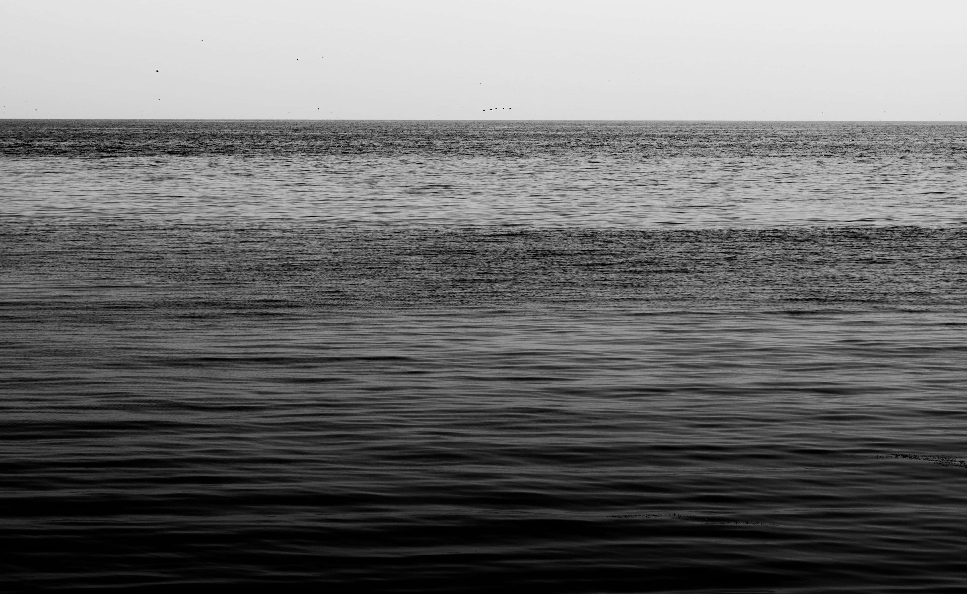 Black And White Ocean 桌布 壁紙 — 單色調海景，柔和波浪在蒼白天空下延伸至遙遠的地平線。